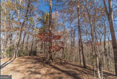Lot 6 Arborwood Drive Dahlonega GA 30533