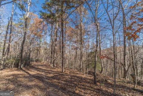 Lot 6 Arborwood Drive Dahlonega GA 30533