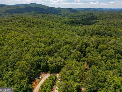 0 Highway 197 Clarkesville GA 30523