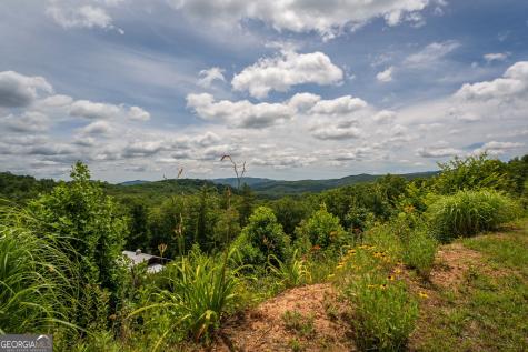 0 Highway 197 Clarkesville GA 30523