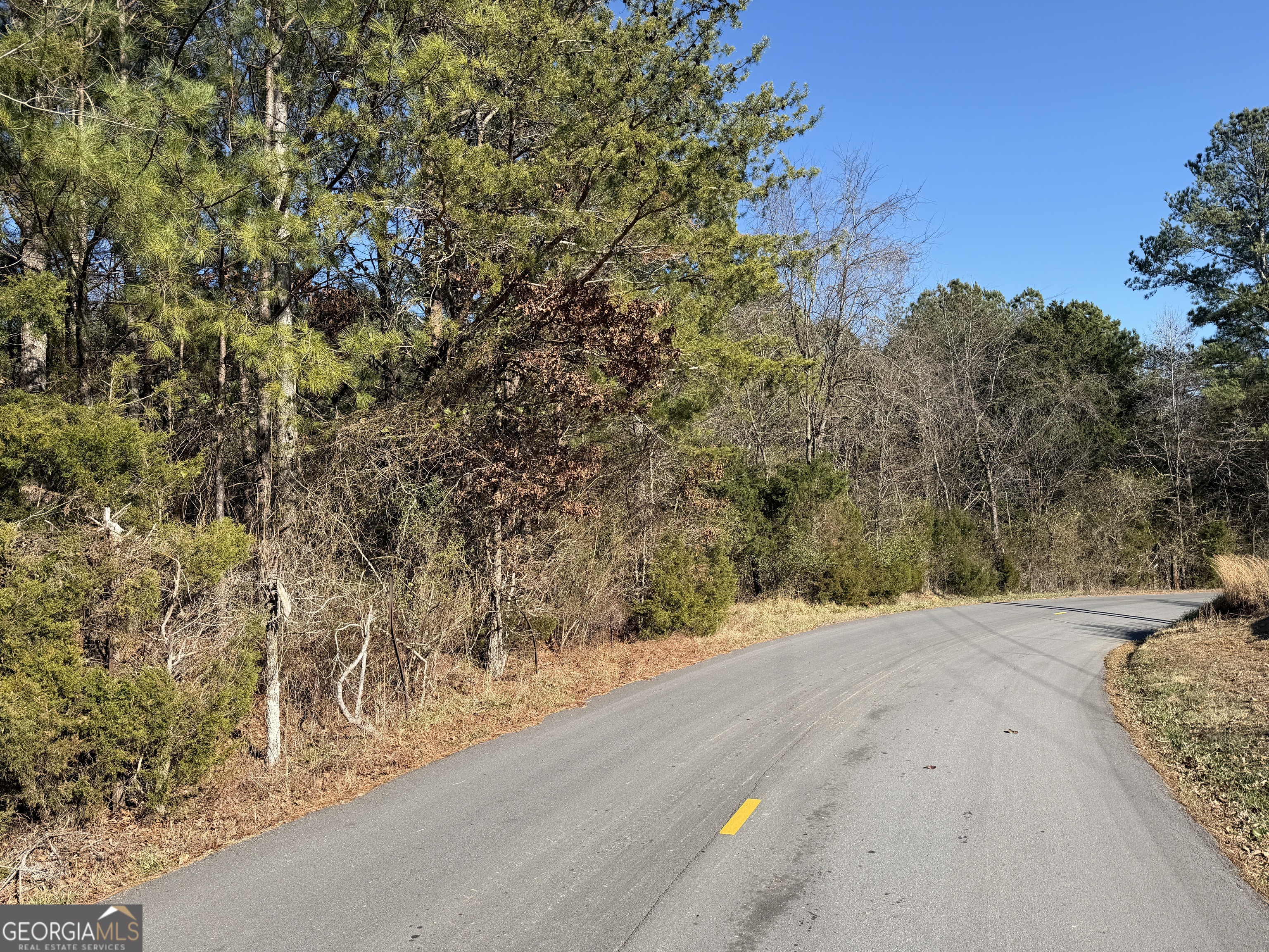 0 Liberty Church Road Ranger GA 30734