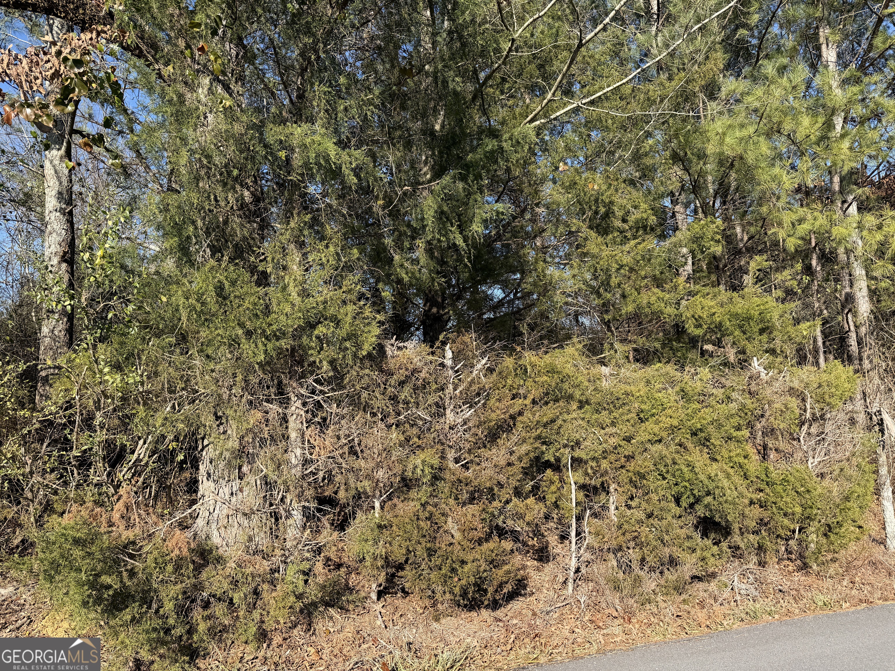 0 Liberty Church Road Ranger GA 30734