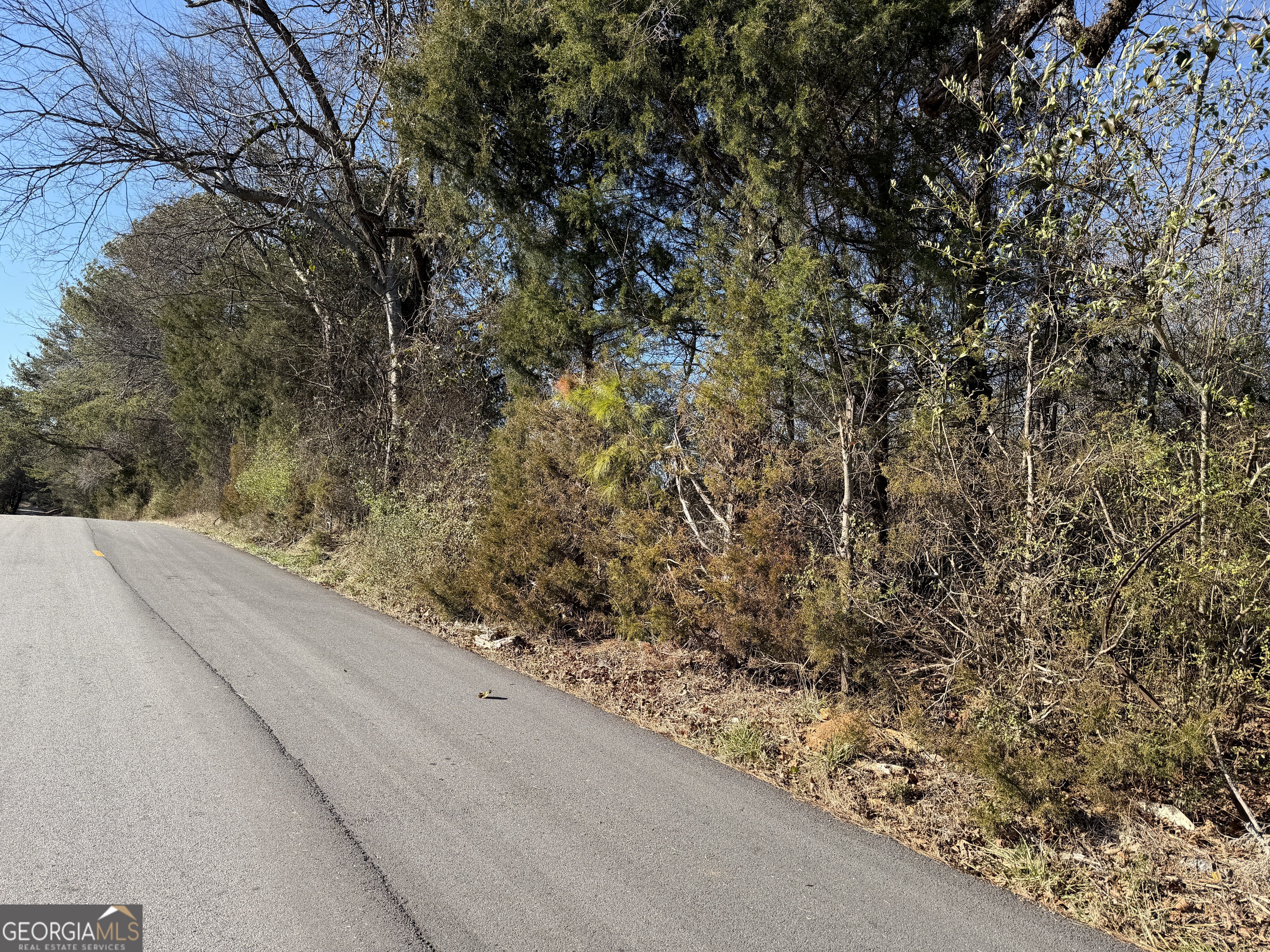 0 Liberty Church Road Ranger GA 30734