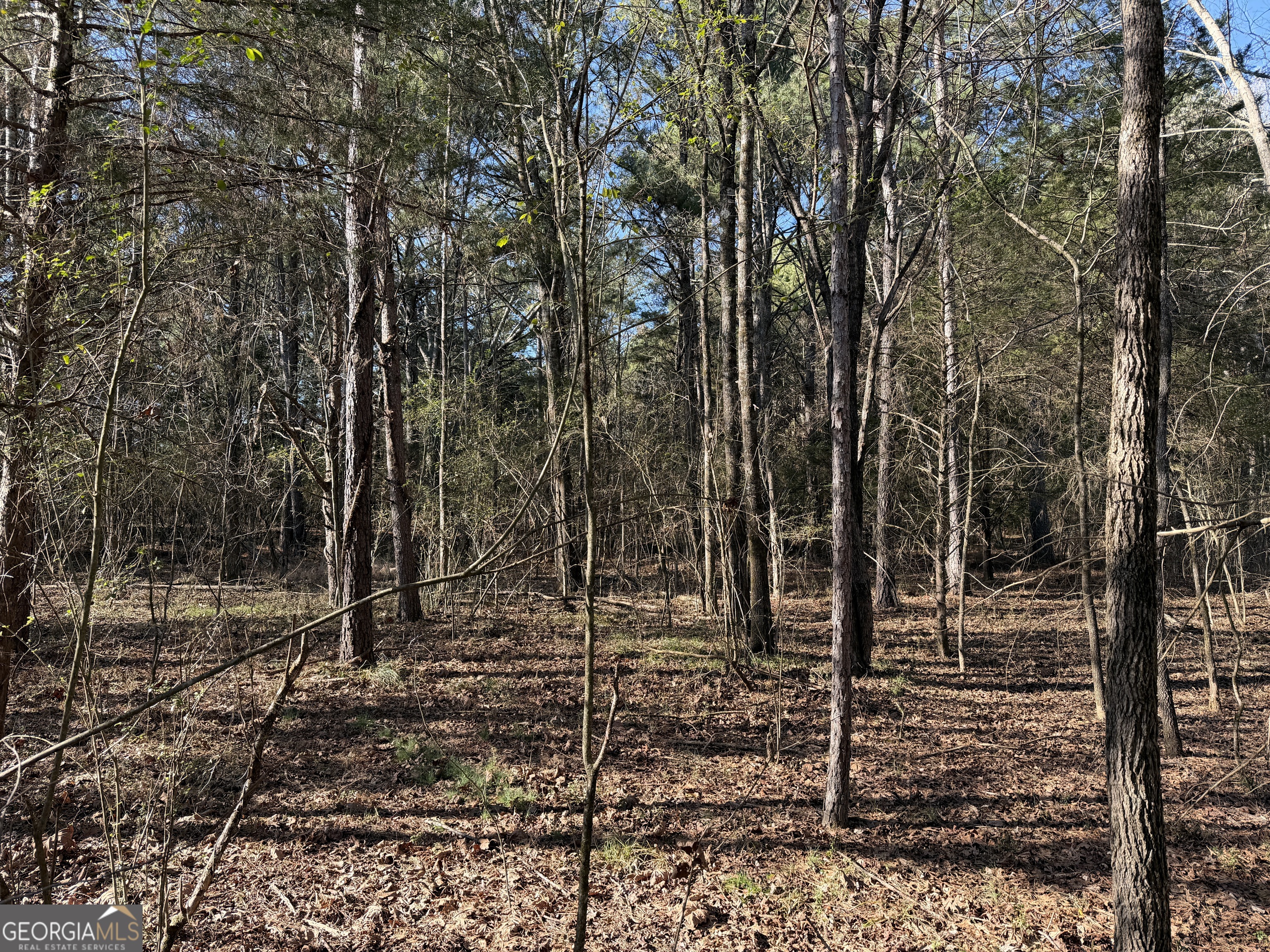 0 Liberty Church Road Ranger GA 30734