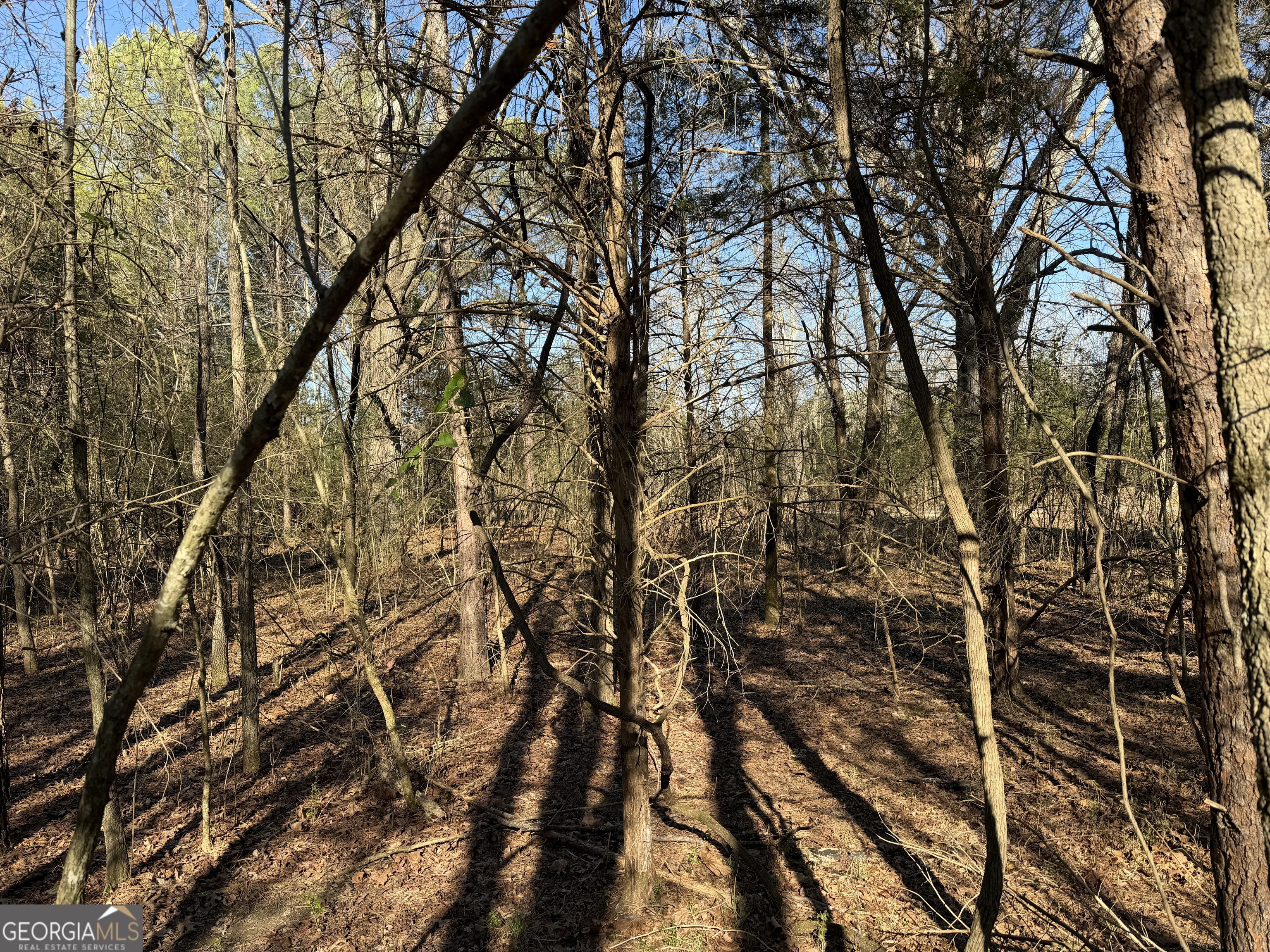 0 Liberty Church Road Ranger GA 30734