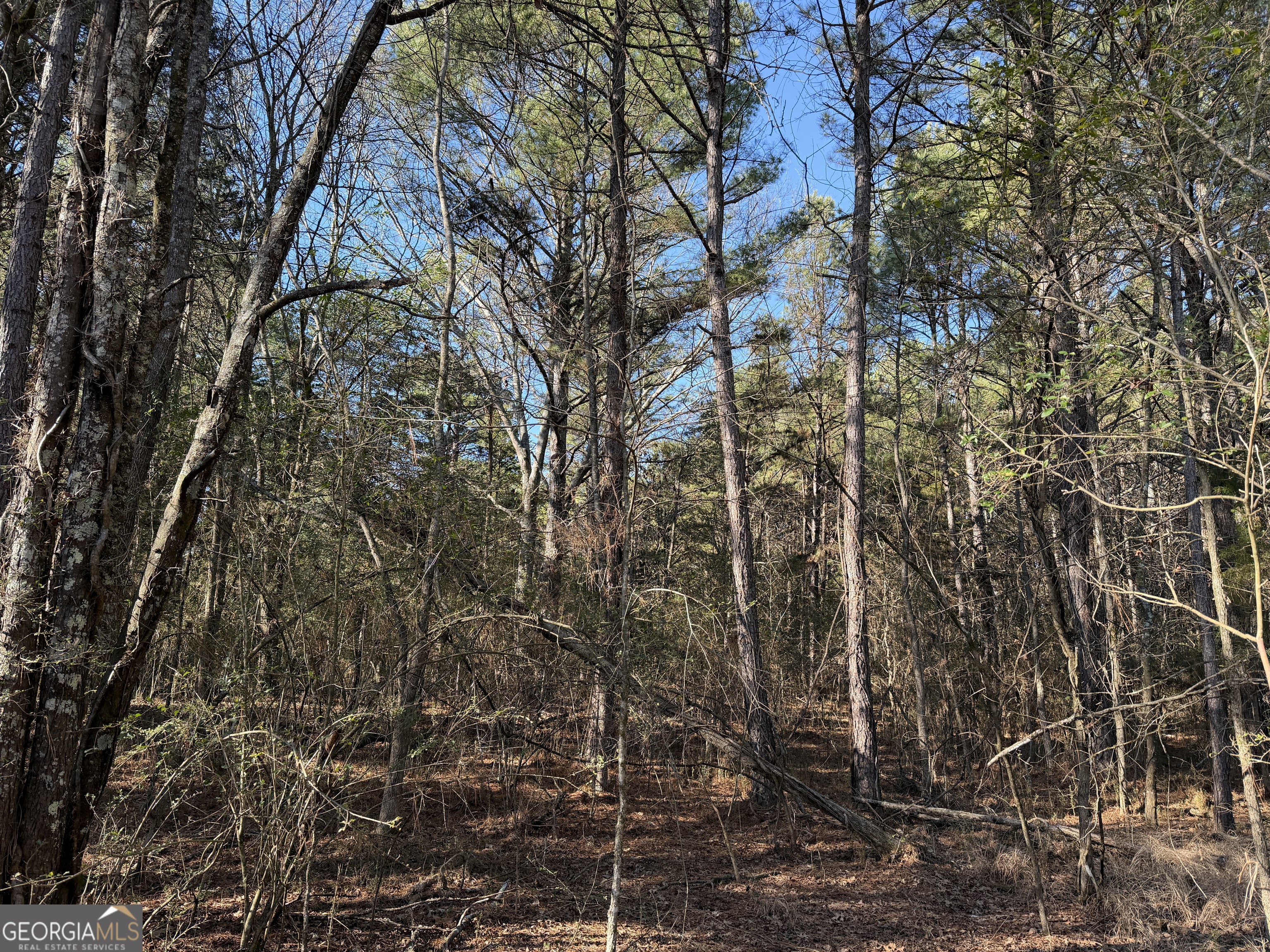 0 Liberty Church Road Ranger GA 30734