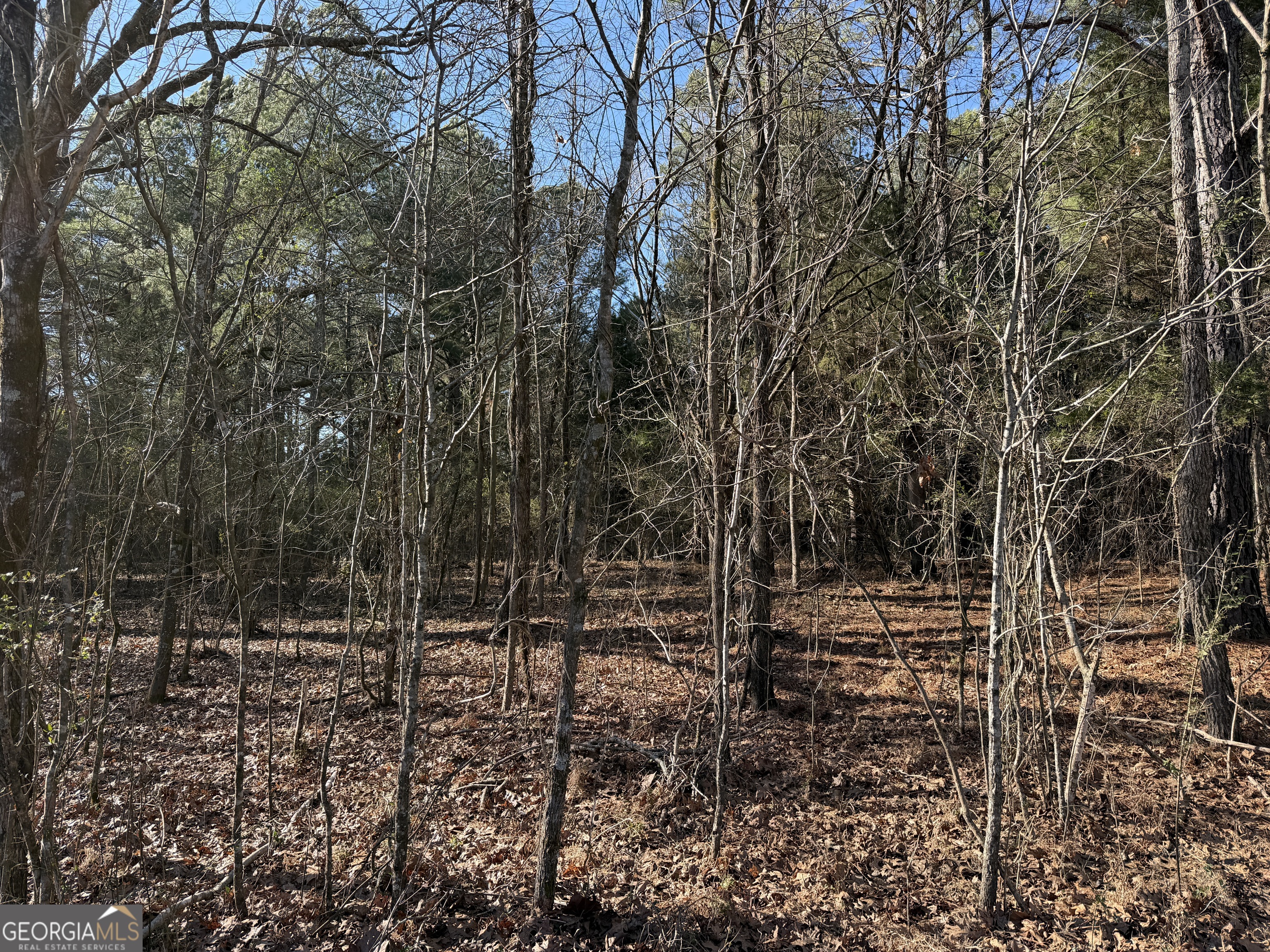 0 Liberty Church Road Ranger GA 30734