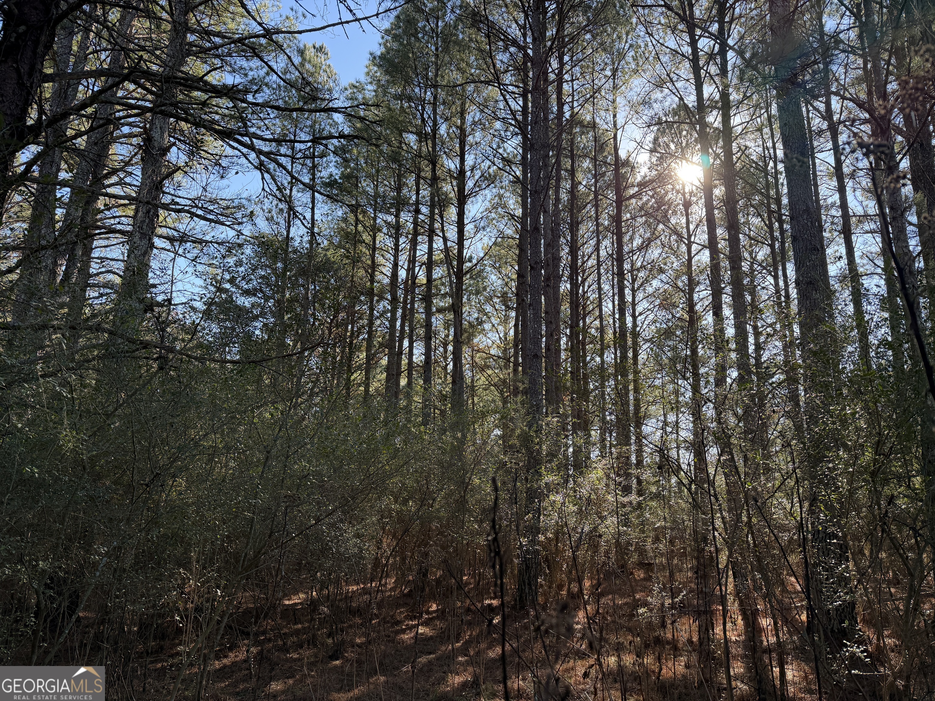 0 Liberty Church Road Ranger GA 30734