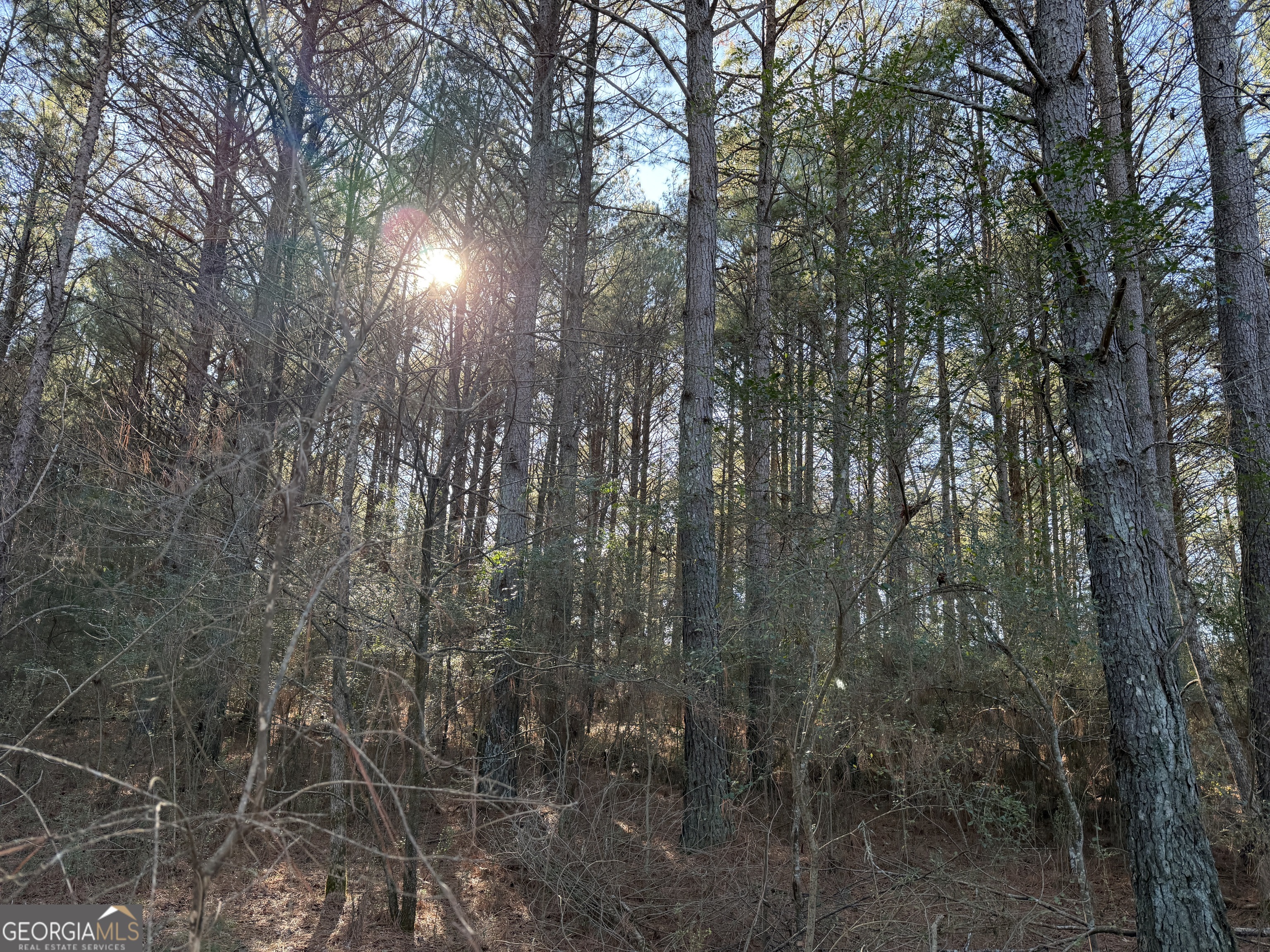 0 Liberty Church Road Ranger GA 30734