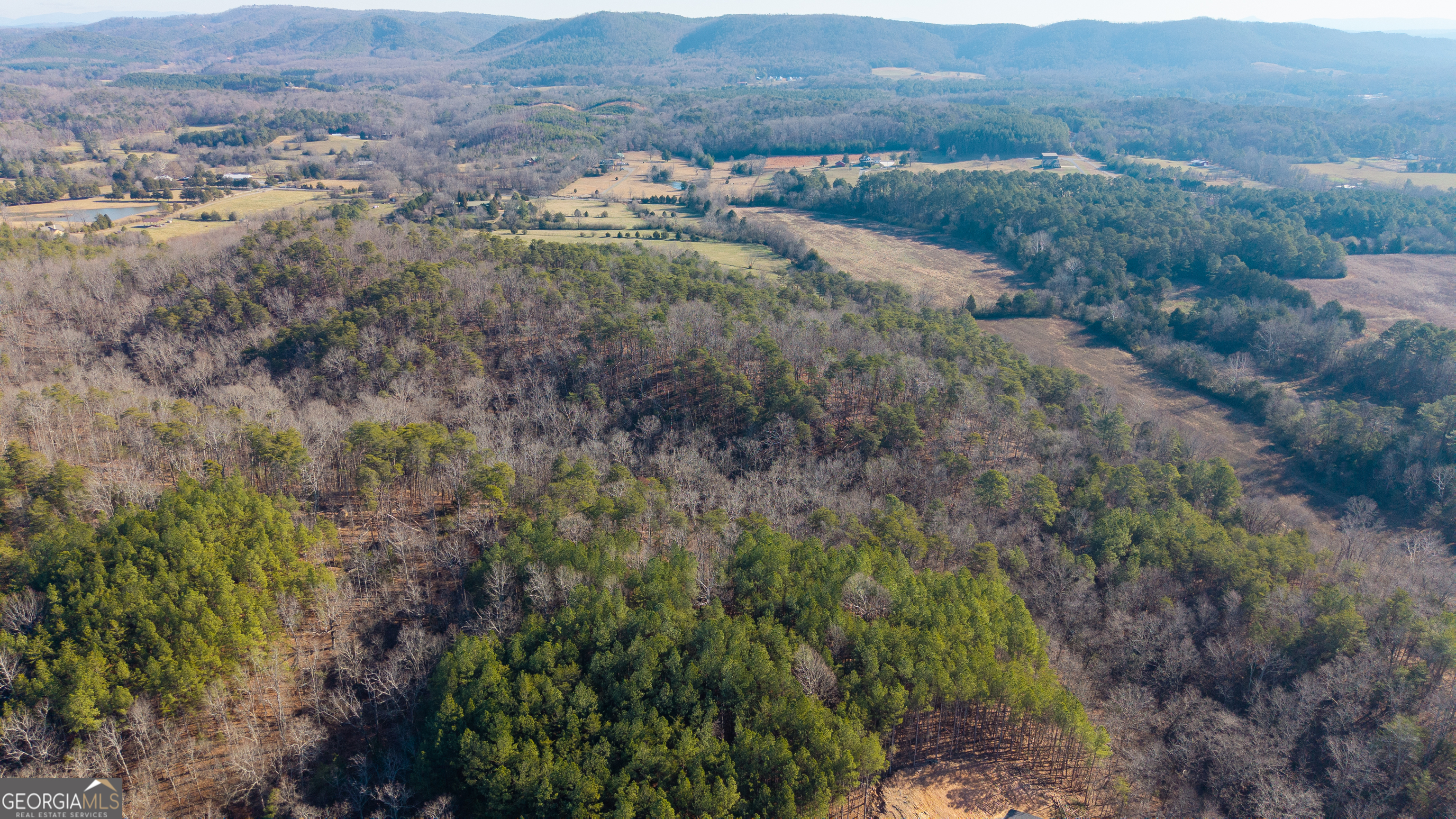0 Liberty Church Road Ranger GA 30734