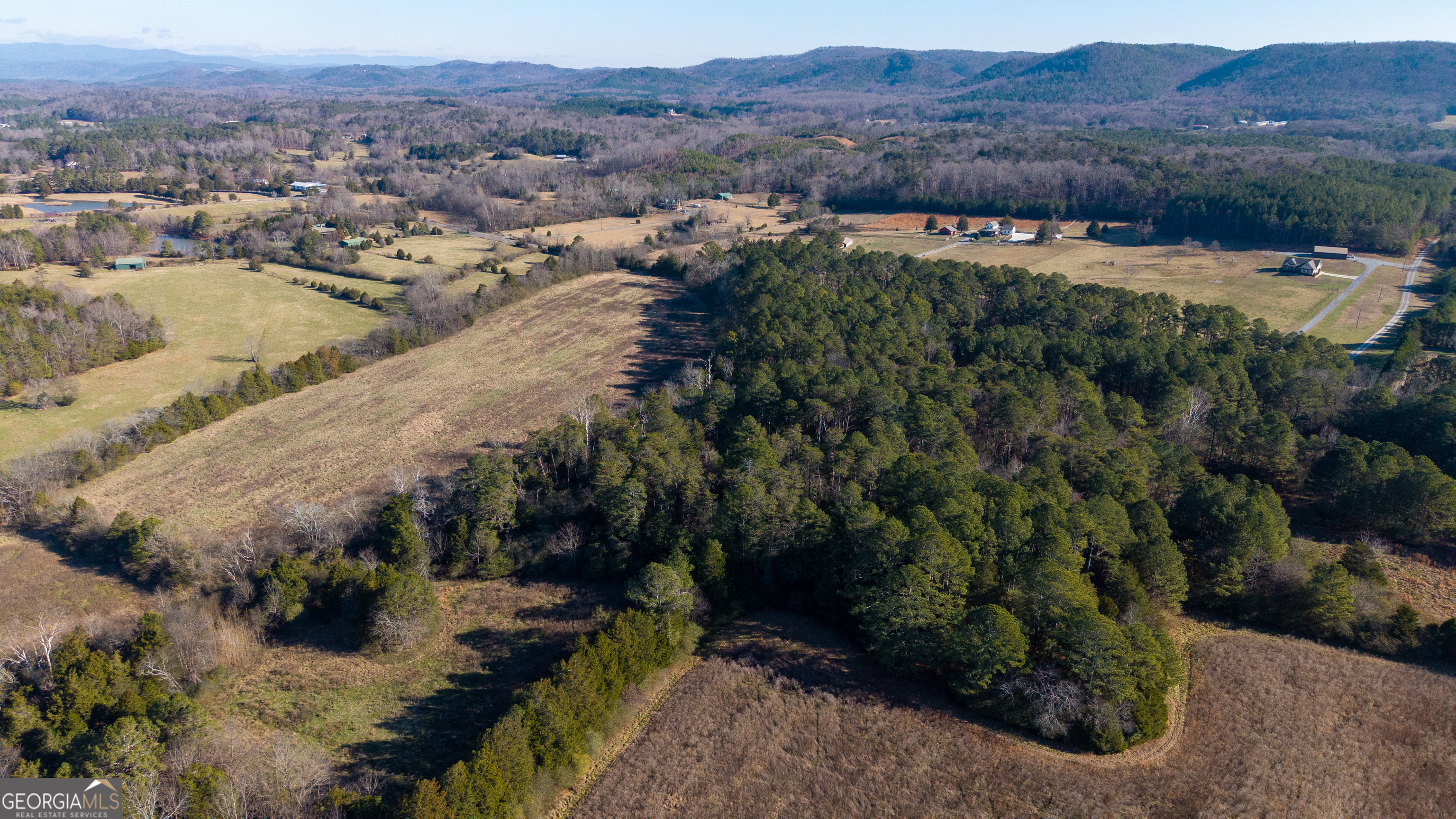 0 Liberty Church Road Ranger GA 30734