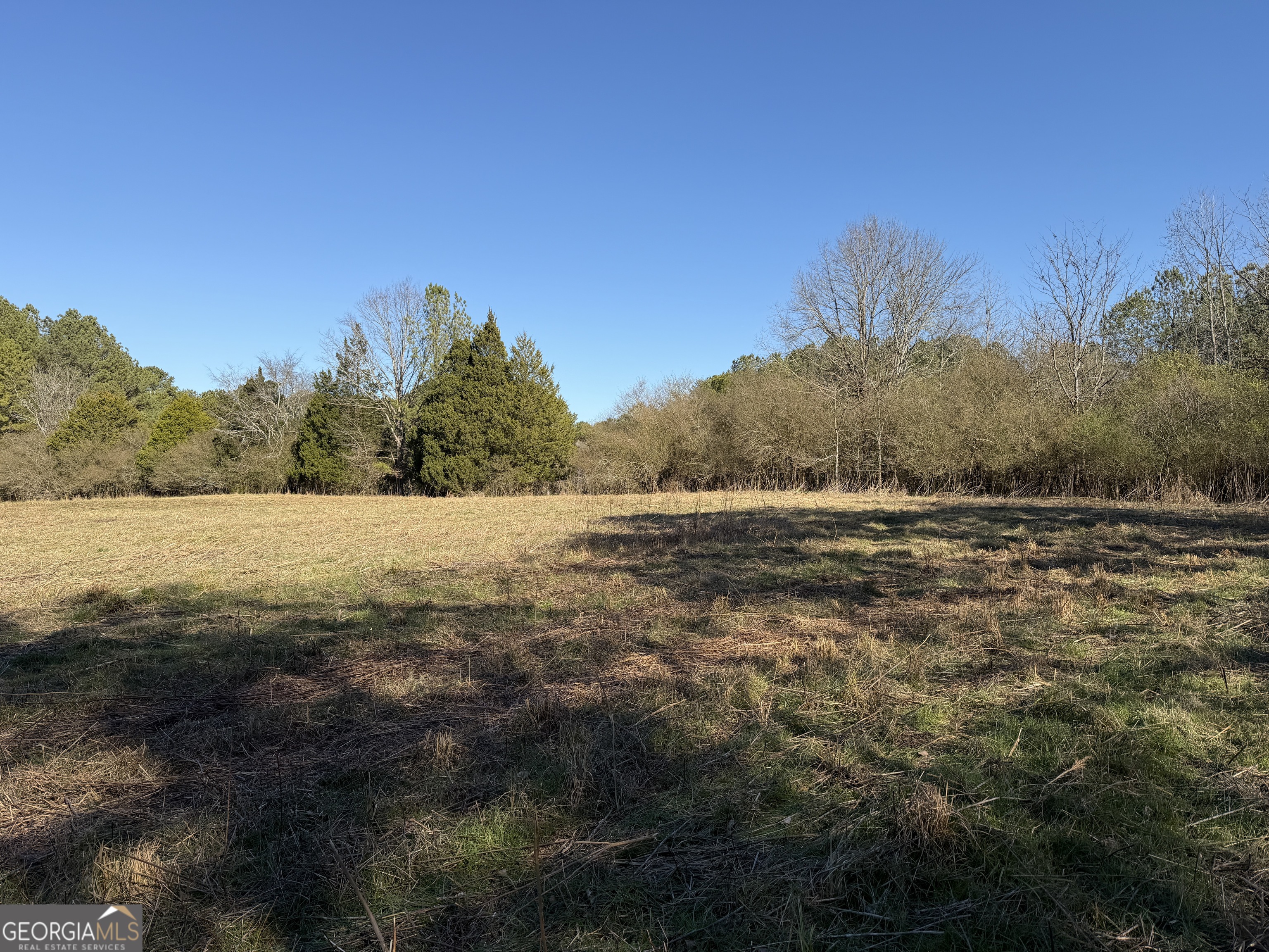0 Liberty Church Road Ranger GA 30734