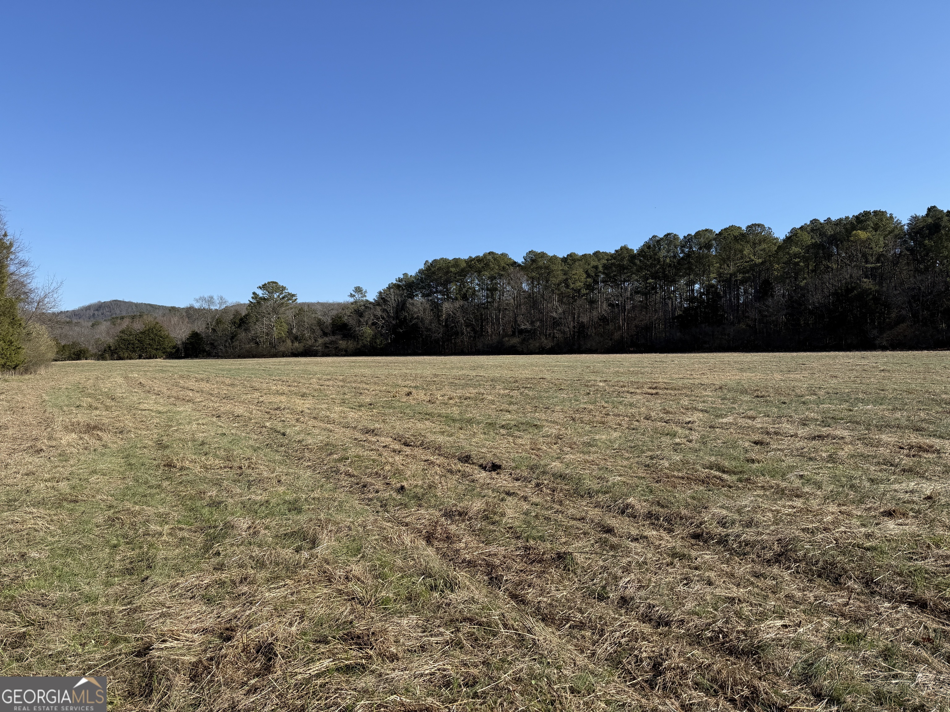 0 Liberty Church Road Ranger GA 30734