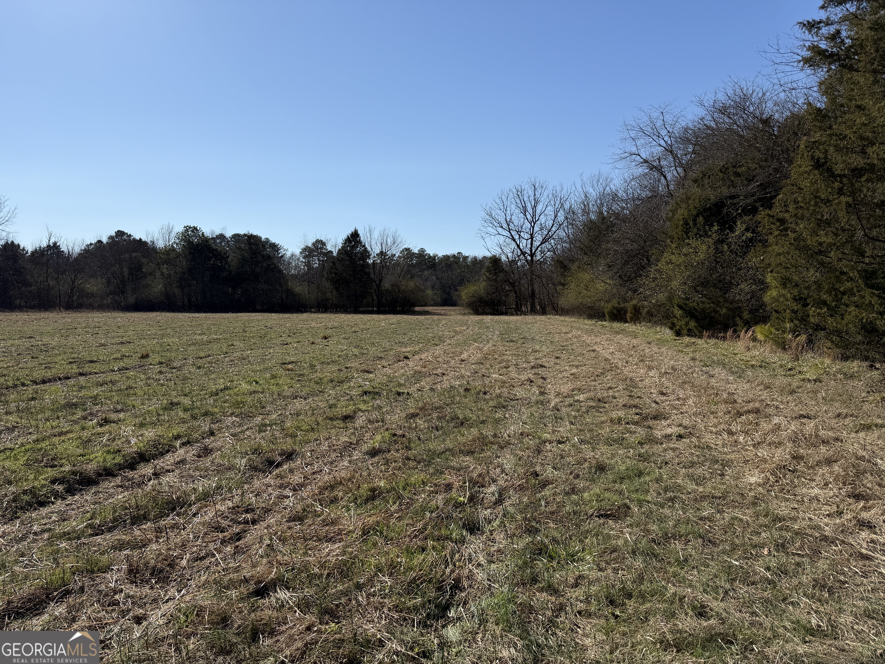 0 Liberty Church Road Ranger GA 30734