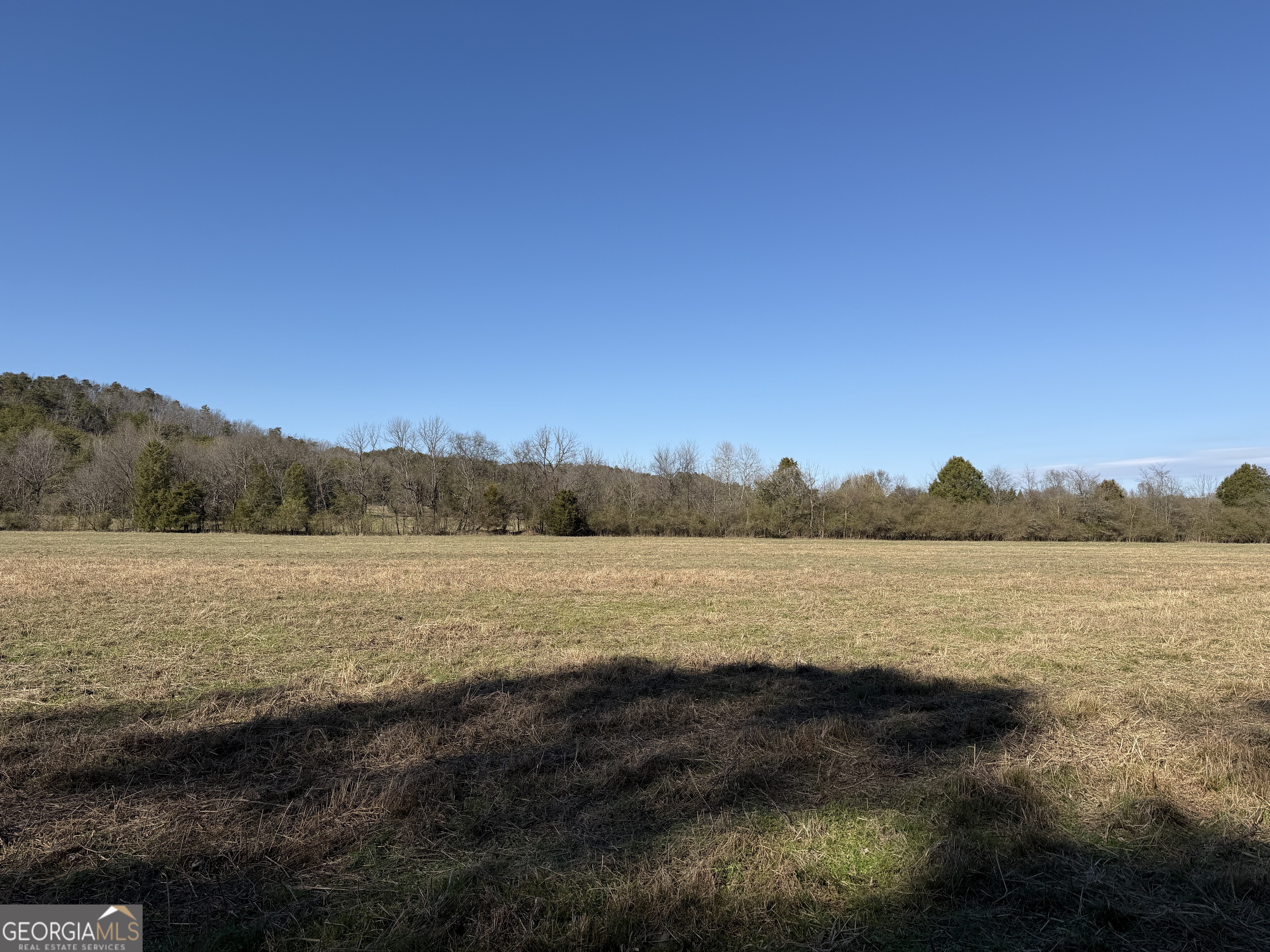 0 Liberty Church Road Ranger GA 30734