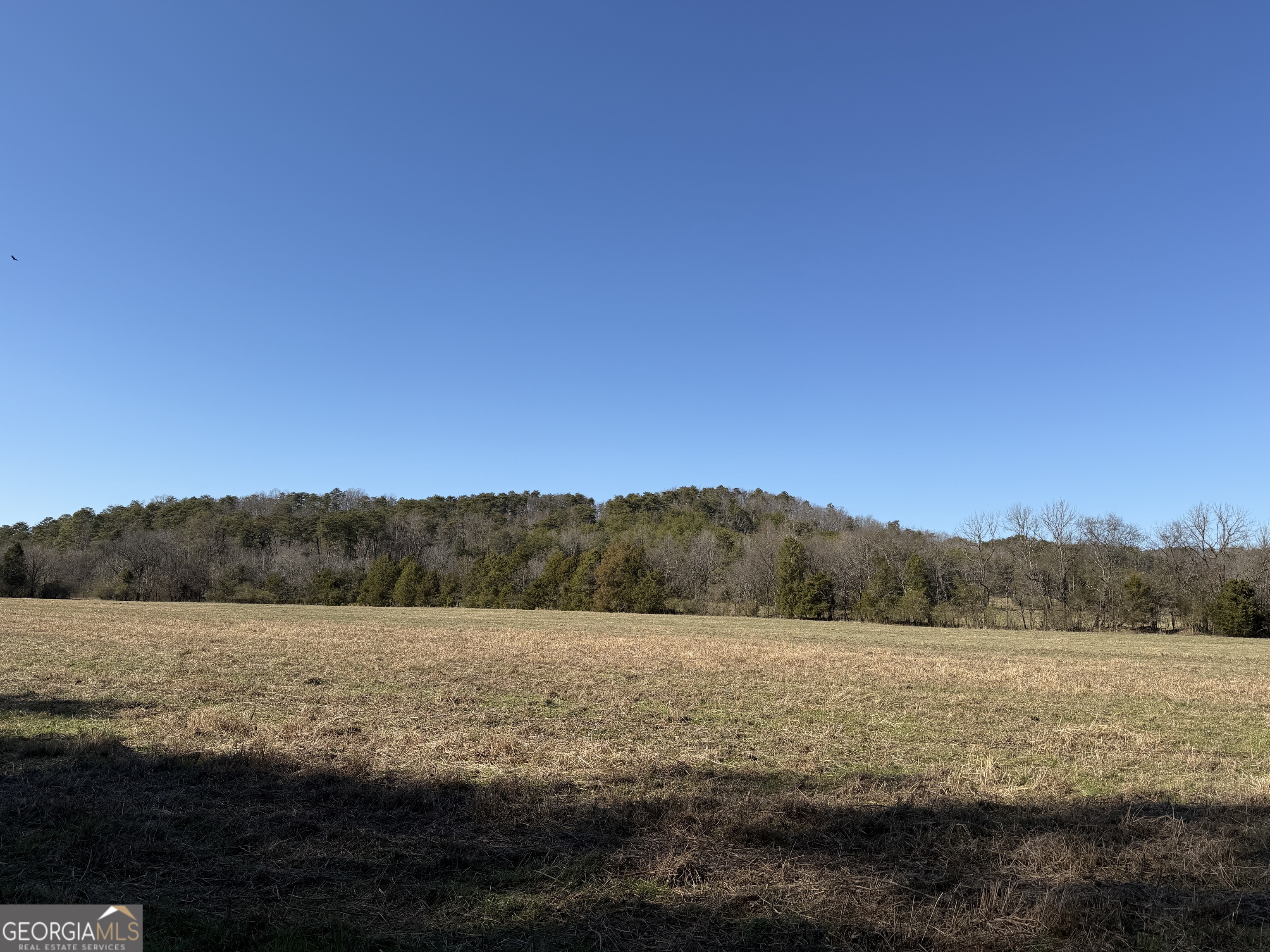 0 Liberty Church Road Ranger GA 30734