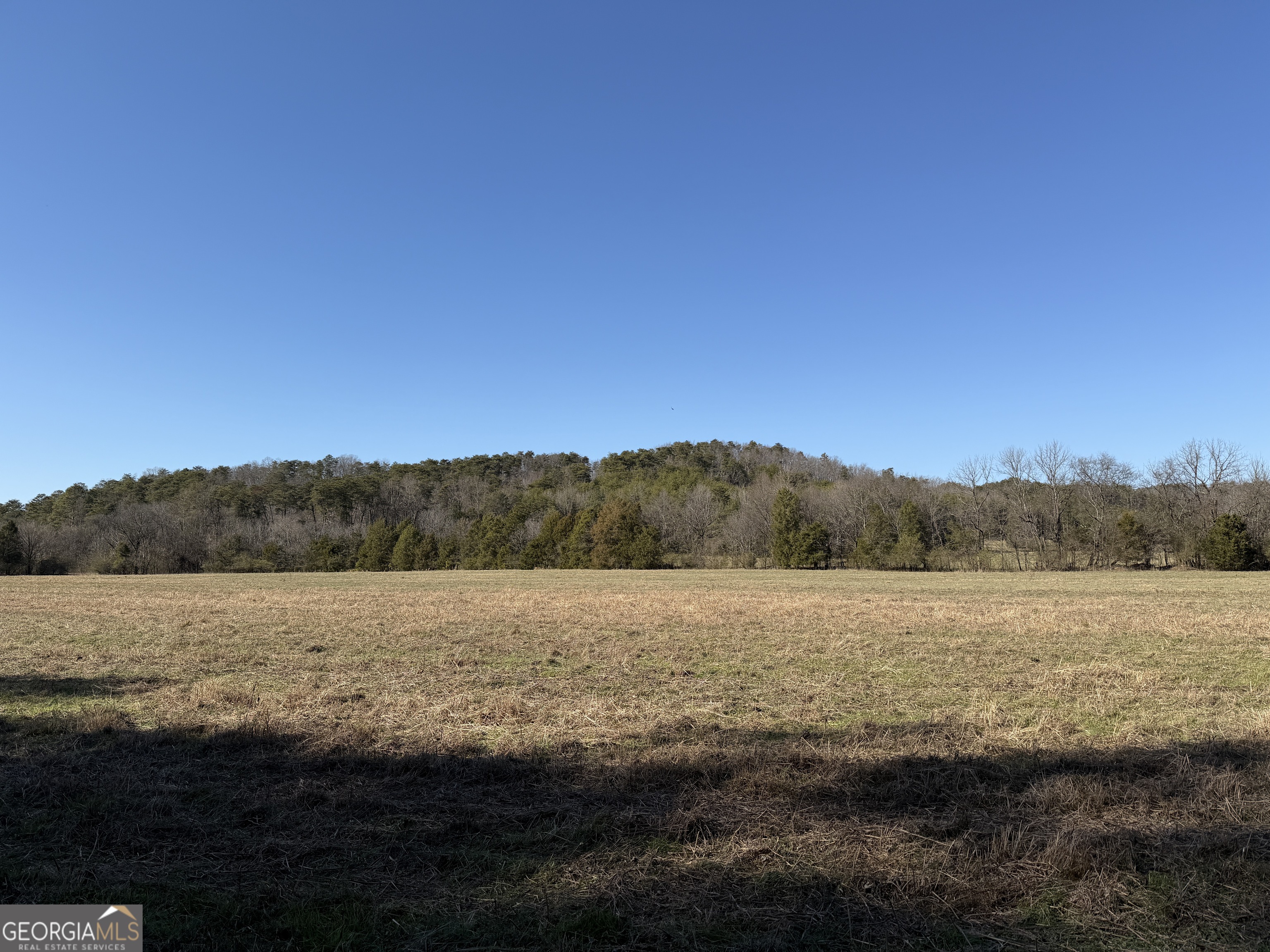 0 Liberty Church Road Ranger GA 30734