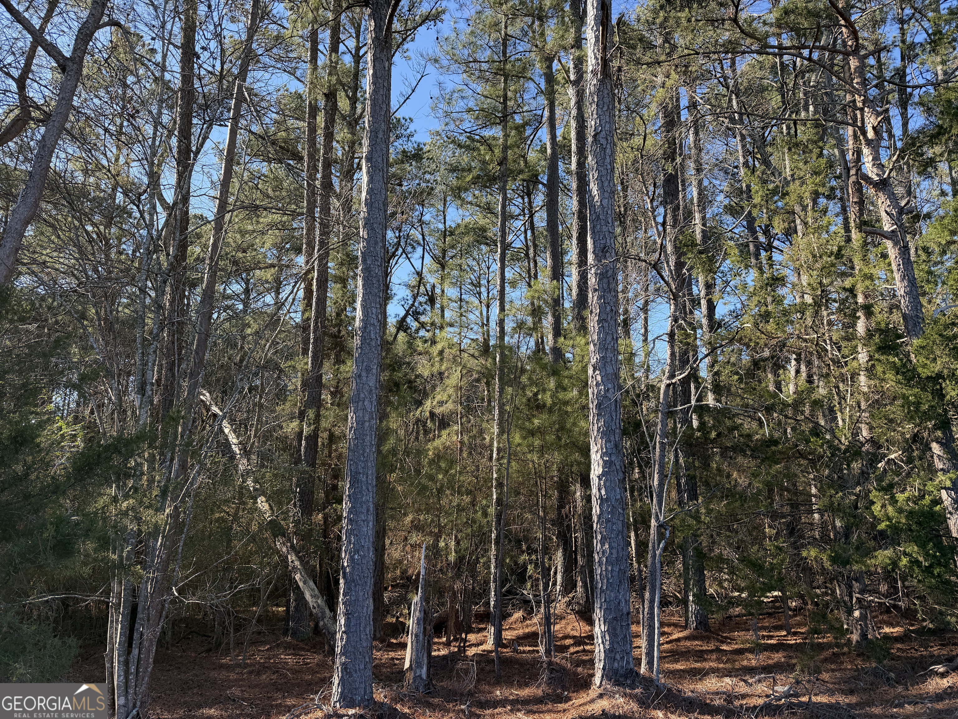 0 Liberty Church Road Ranger GA 30734