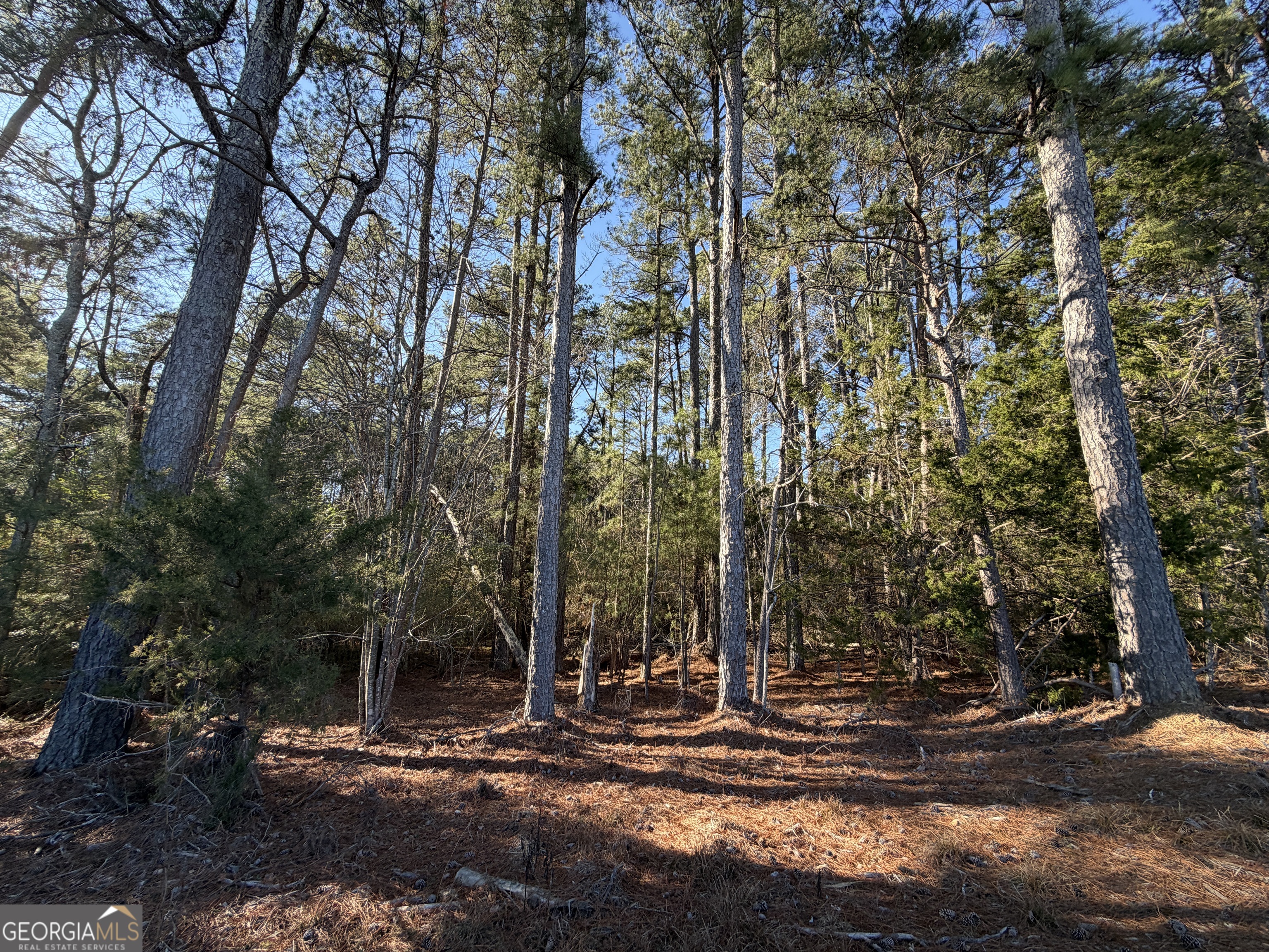 0 Liberty Church Road Ranger GA 30734