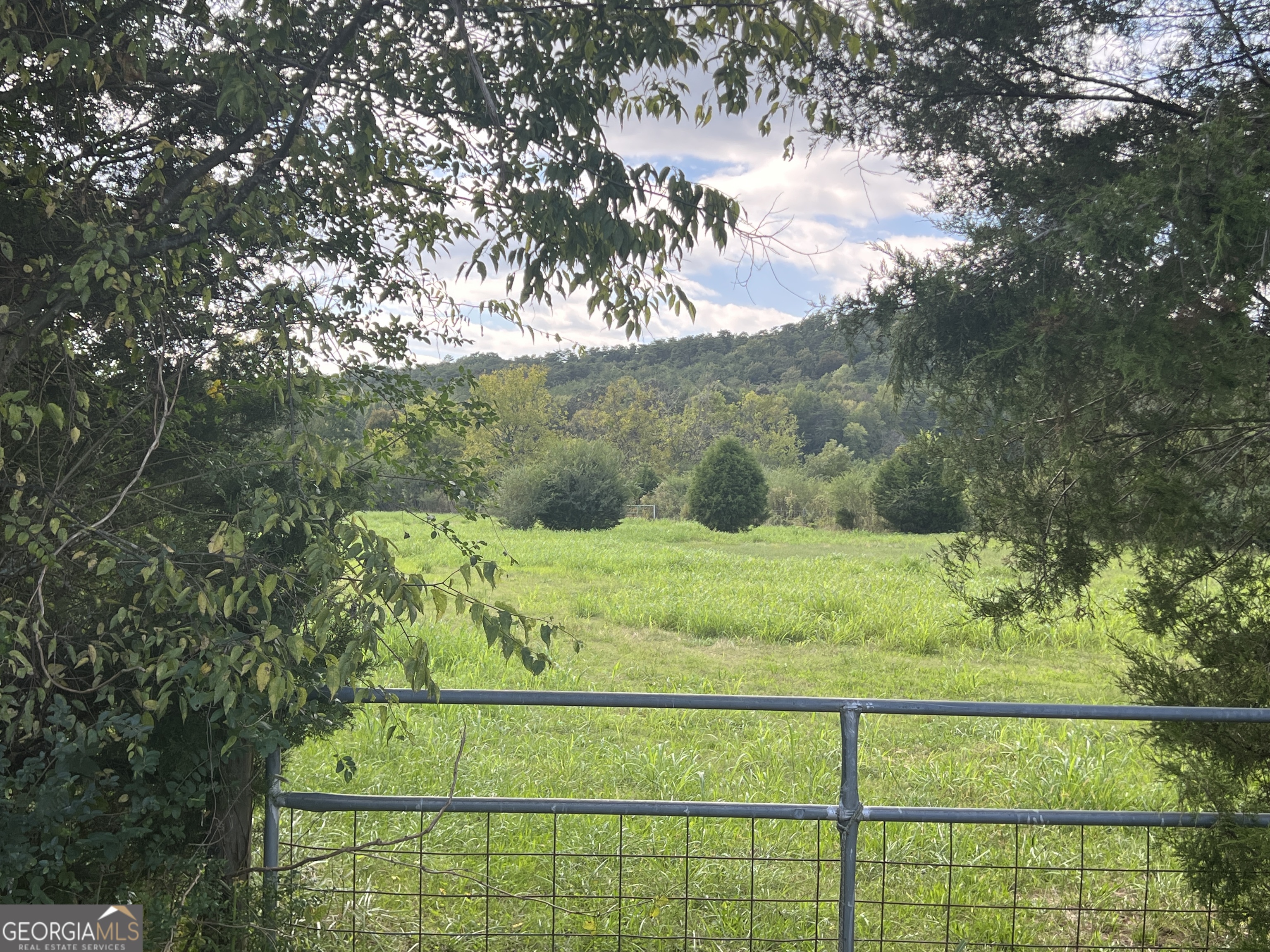 0 Liberty Church Road Ranger GA 30734