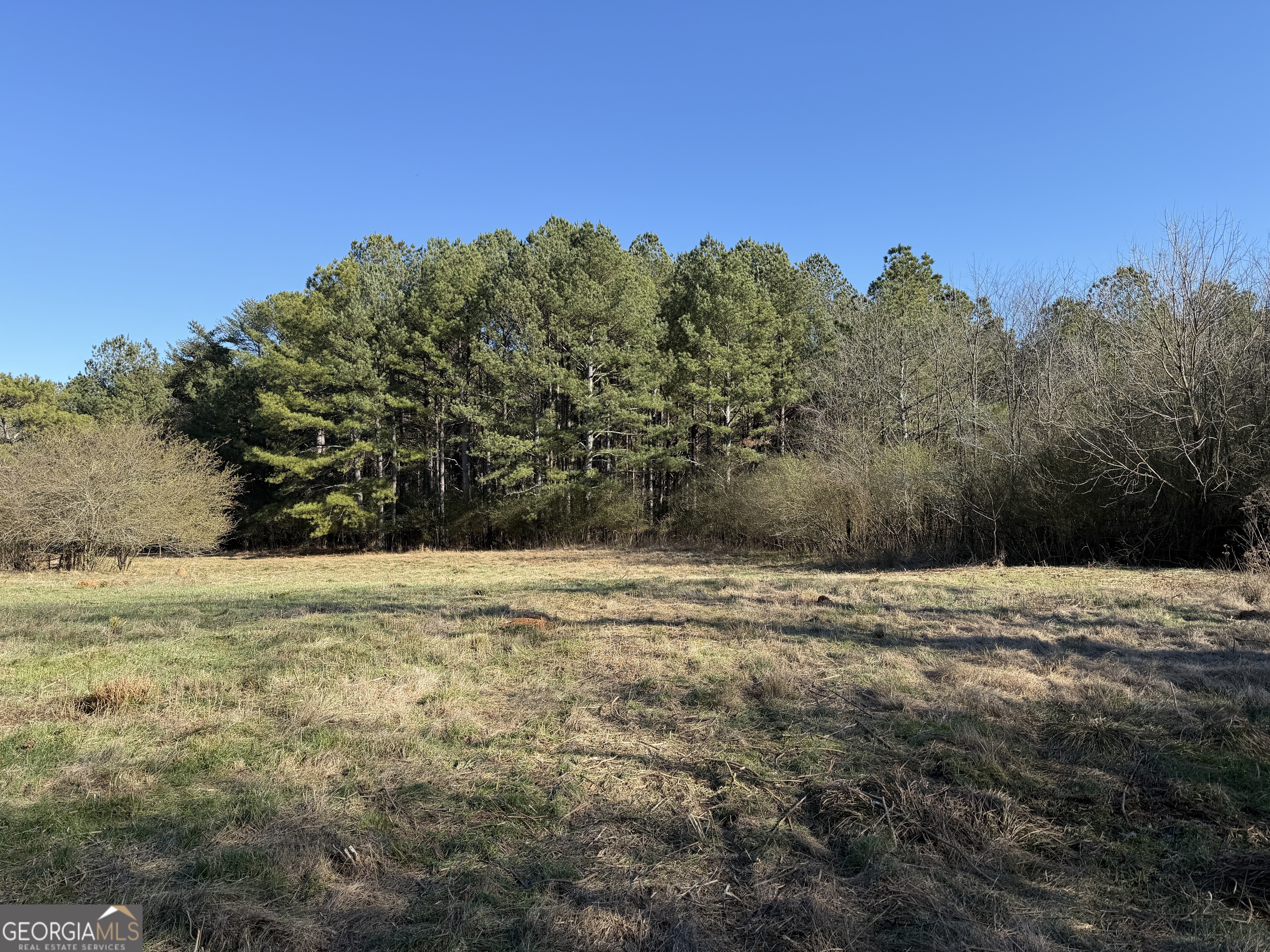 0 Liberty Church Road Ranger GA 30734