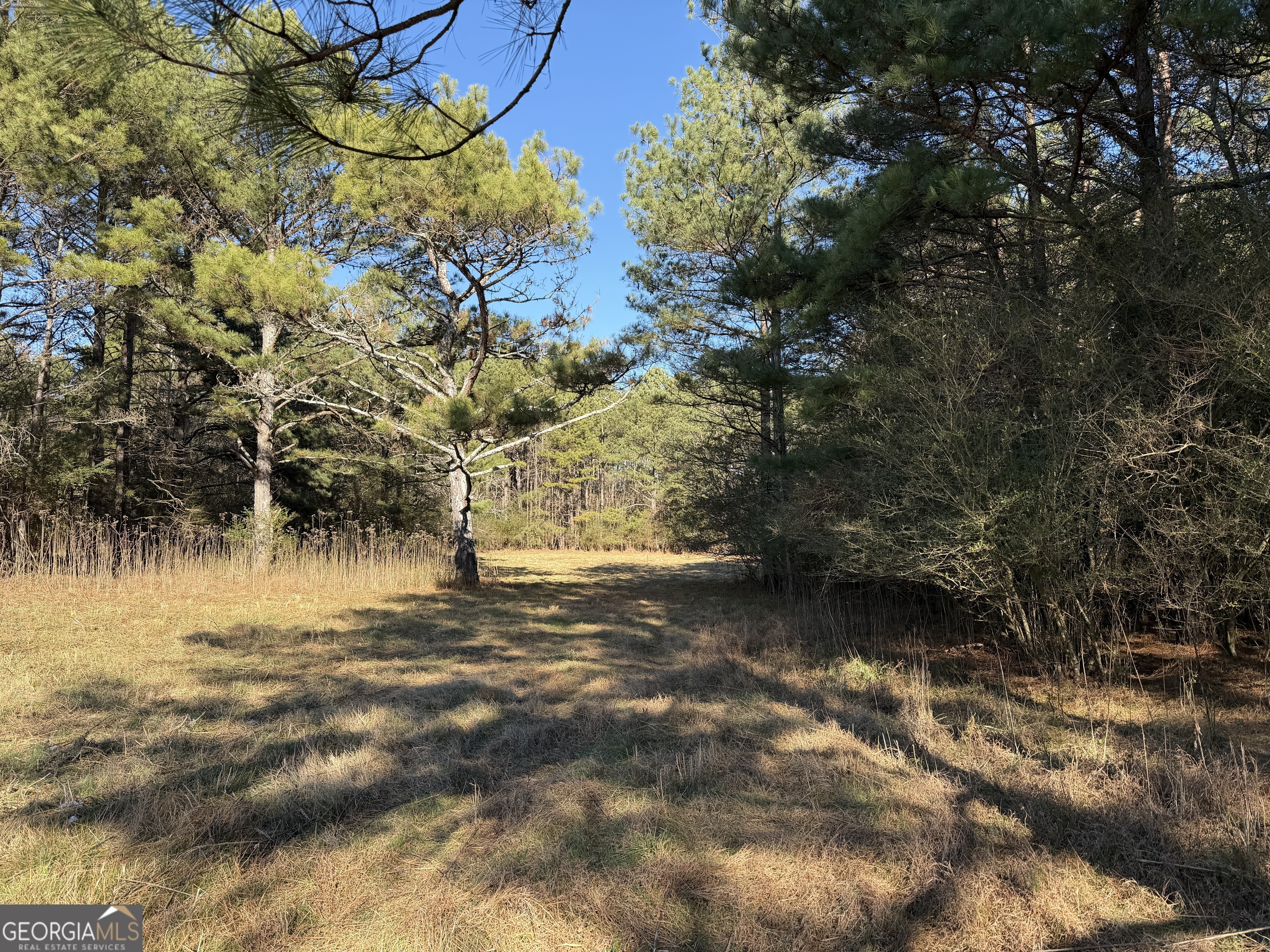 0 Liberty Church Road Ranger GA 30734