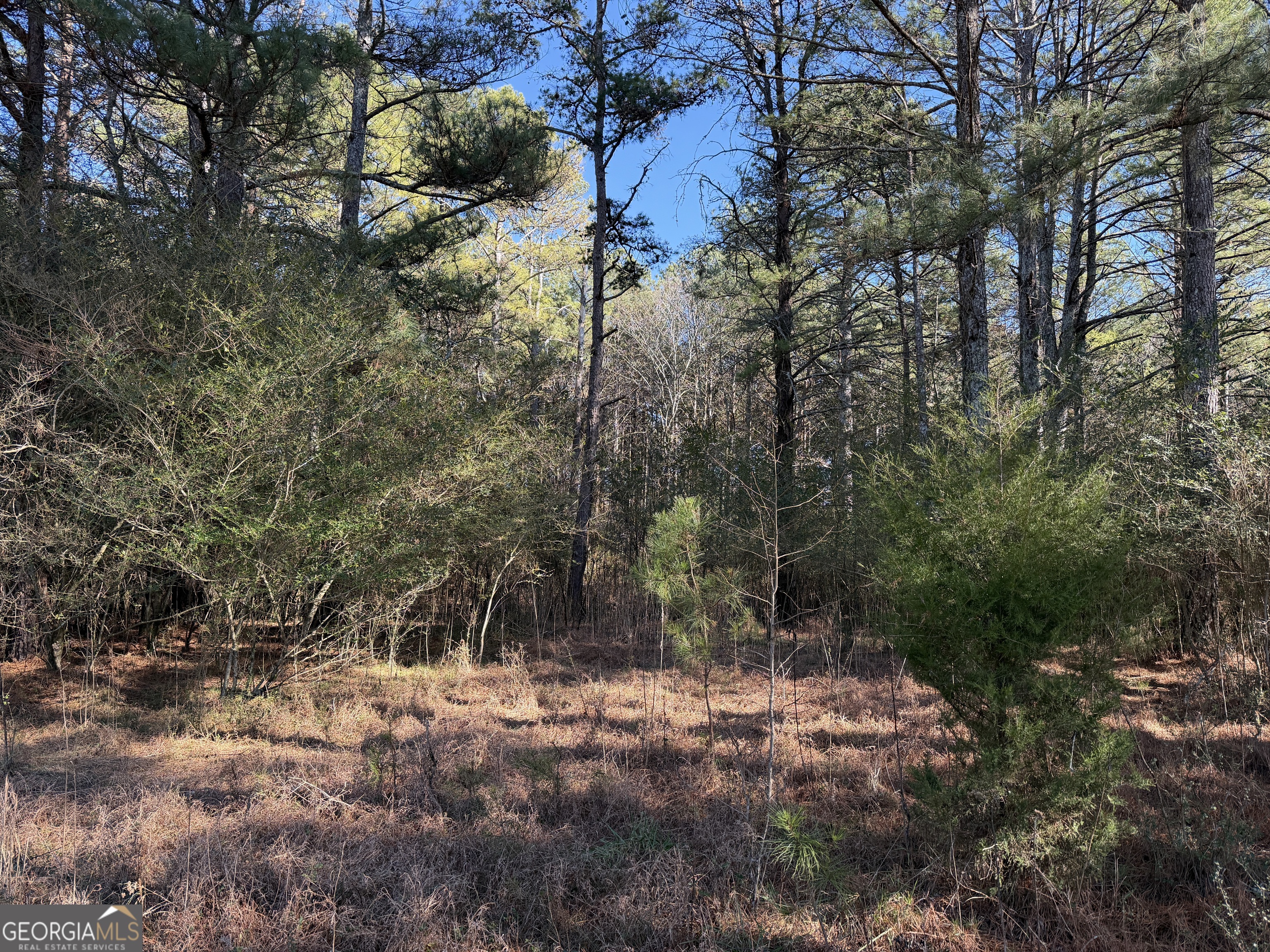 0 Liberty Church Road Ranger GA 30734