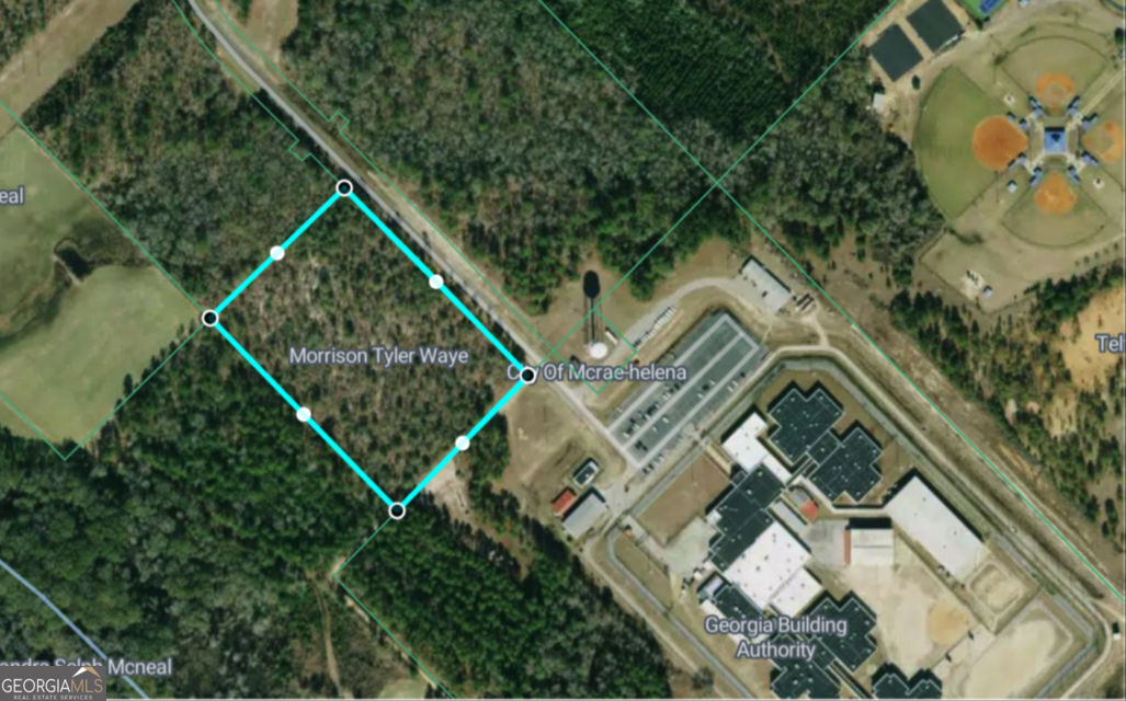 0 Jim Hammock Drive Mcrae-helena GA 31055
