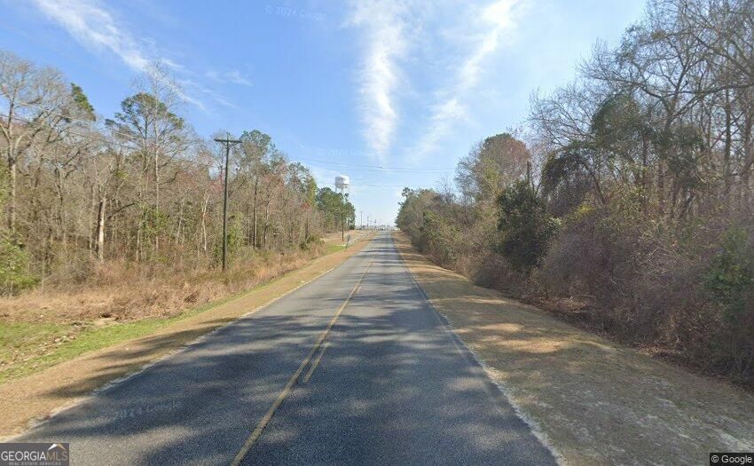 0 Jim Hammock Drive Mcrae-helena GA 31055