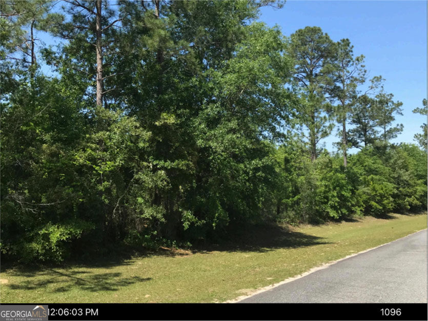 0 Jim Hammock Drive Mcrae-helena GA 31055