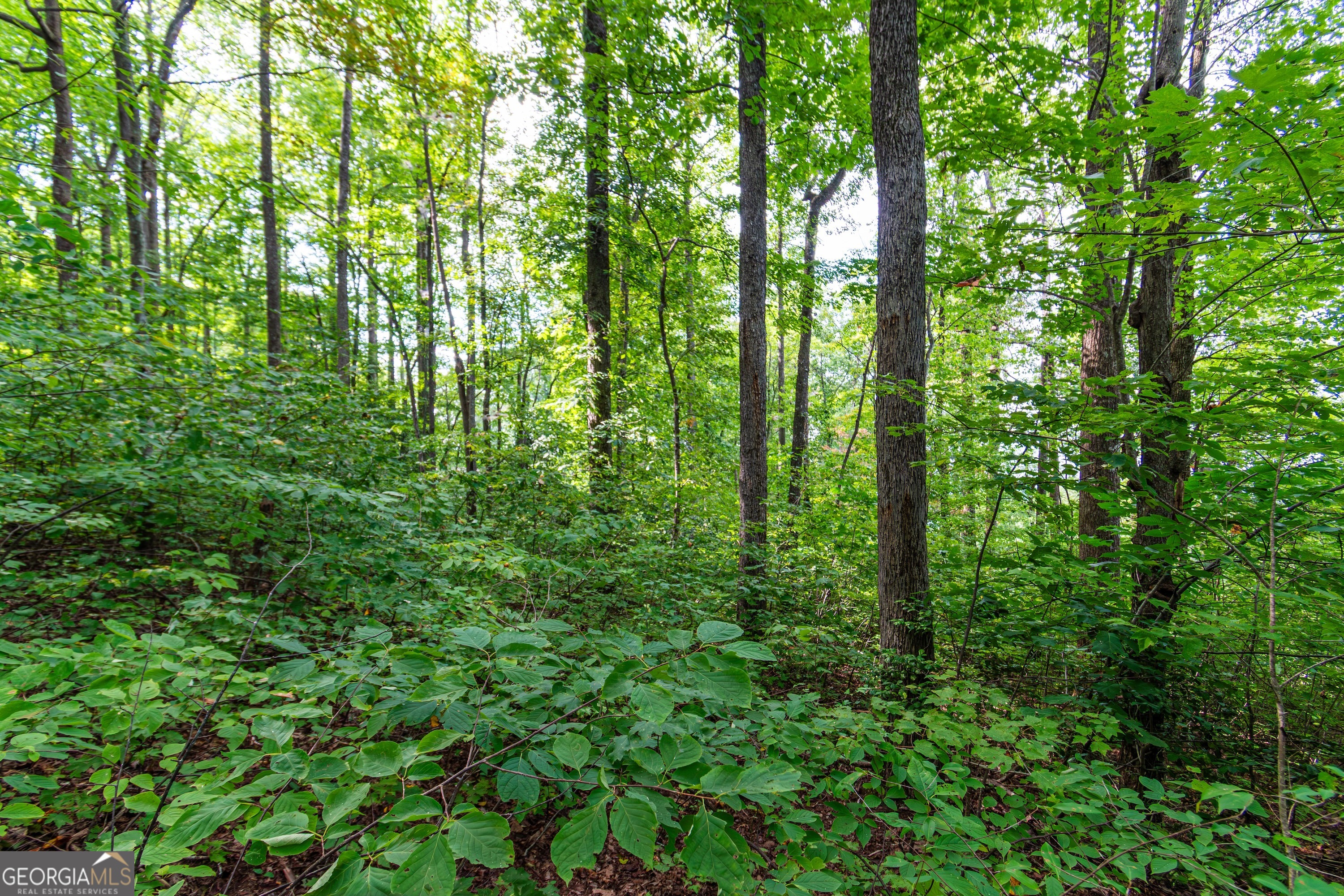 Lot 219 Stone Cliff Drive Jasper GA 30143