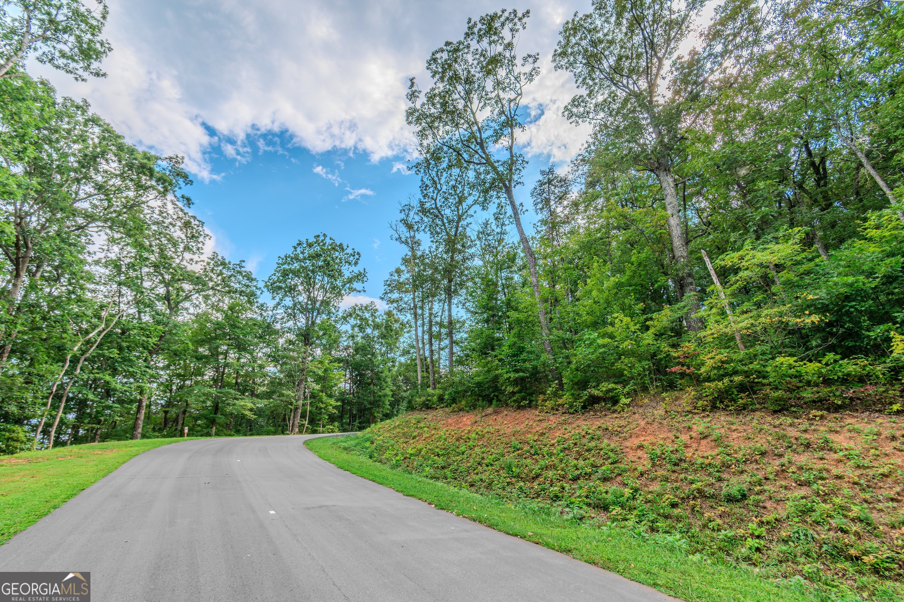 Lot 219 Stone Cliff Drive Jasper GA 30143