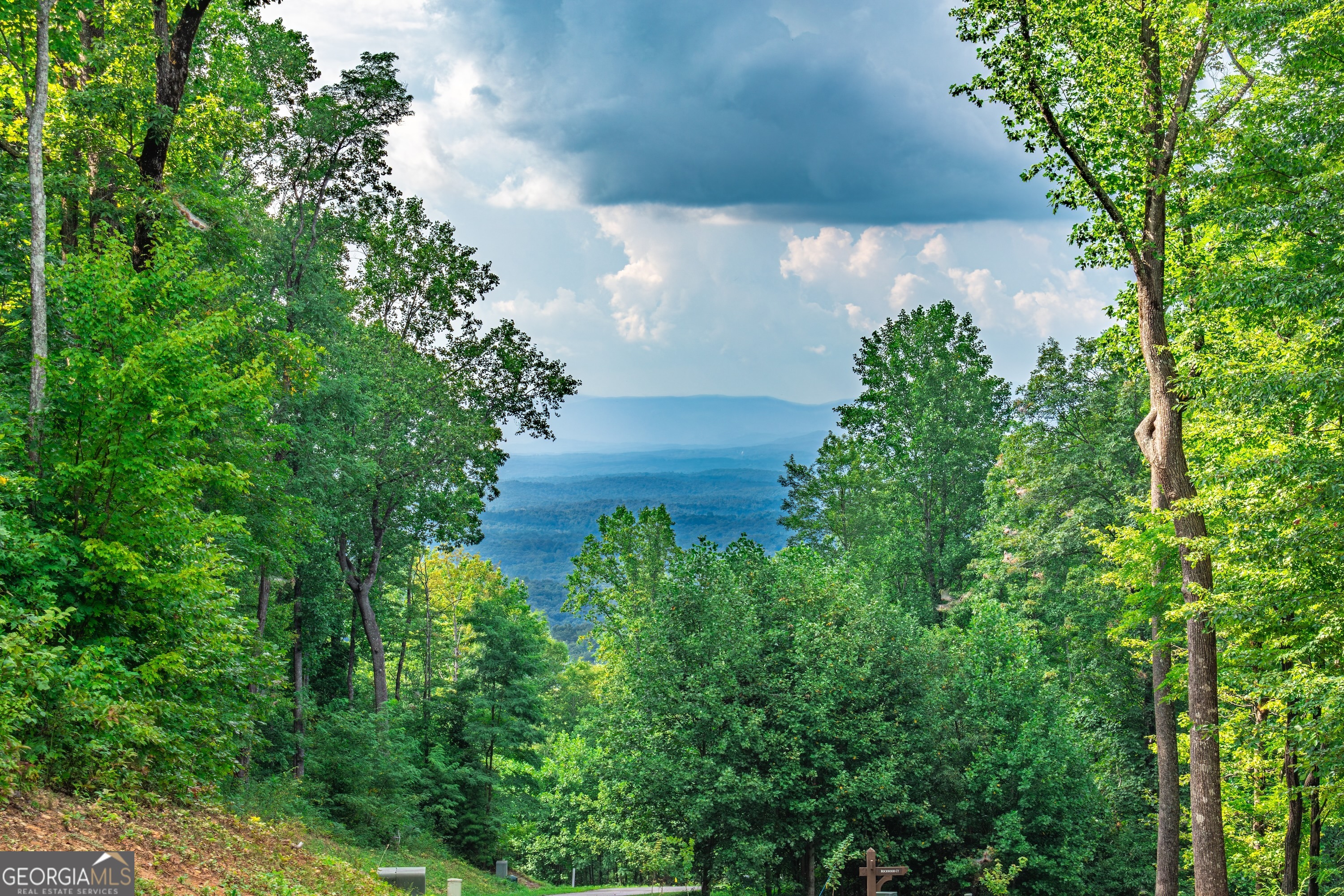 Lot 219 Stone Cliff Drive Jasper GA 30143