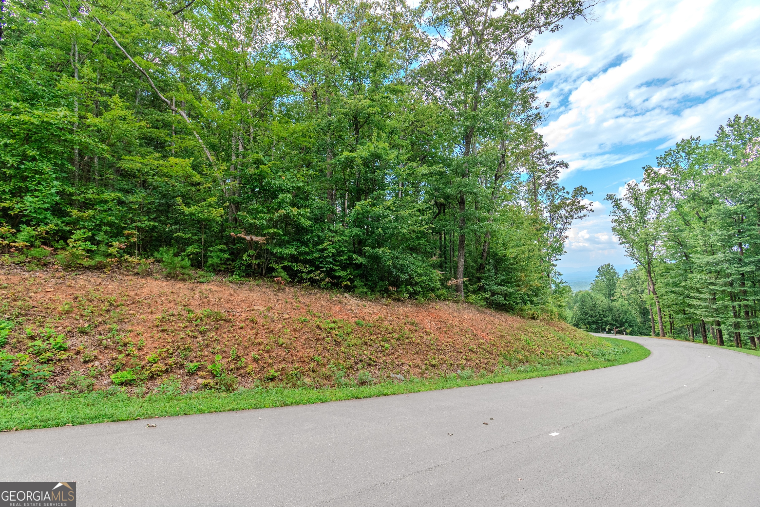 Lot 219 Stone Cliff Drive Jasper GA 30143
