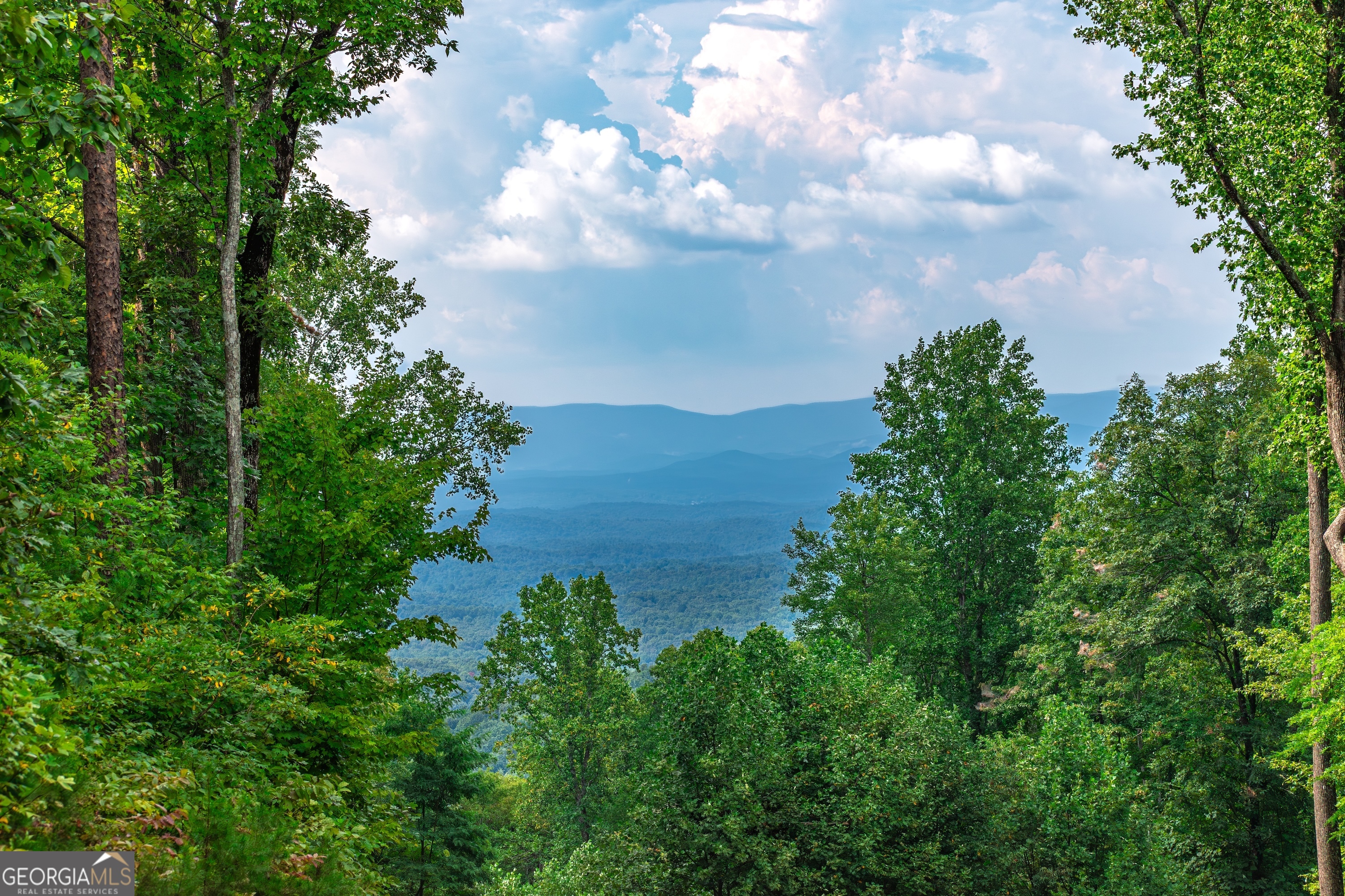 Lot 219 Stone Cliff Drive Jasper GA 30143