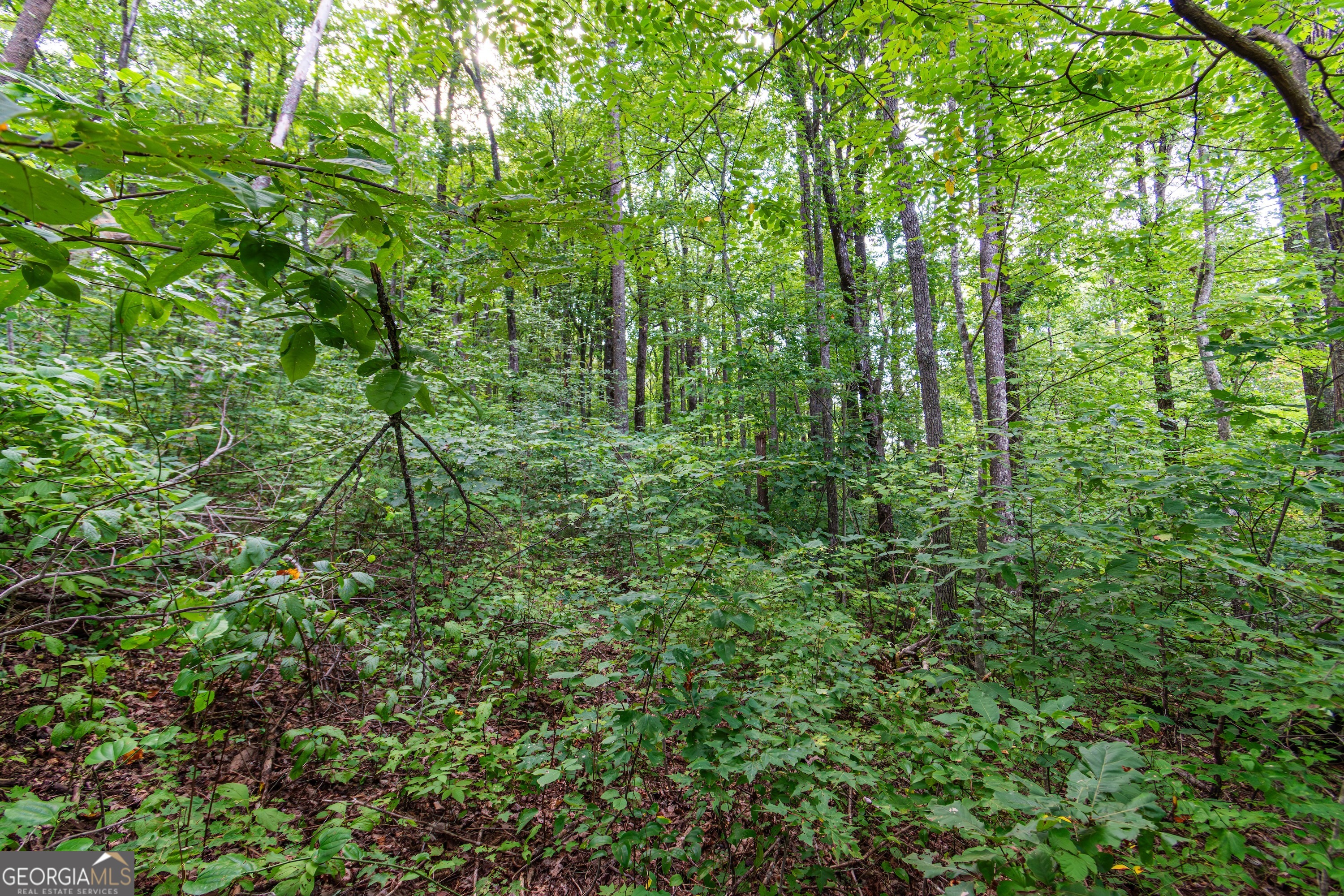 Lot 219 Stone Cliff Drive Jasper GA 30143