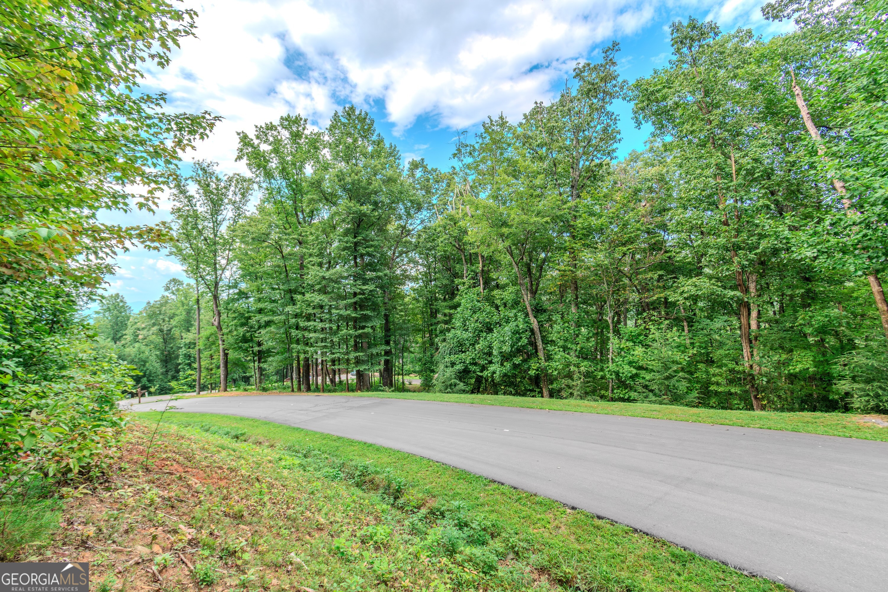 Lot 219 Stone Cliff Drive Jasper GA 30143
