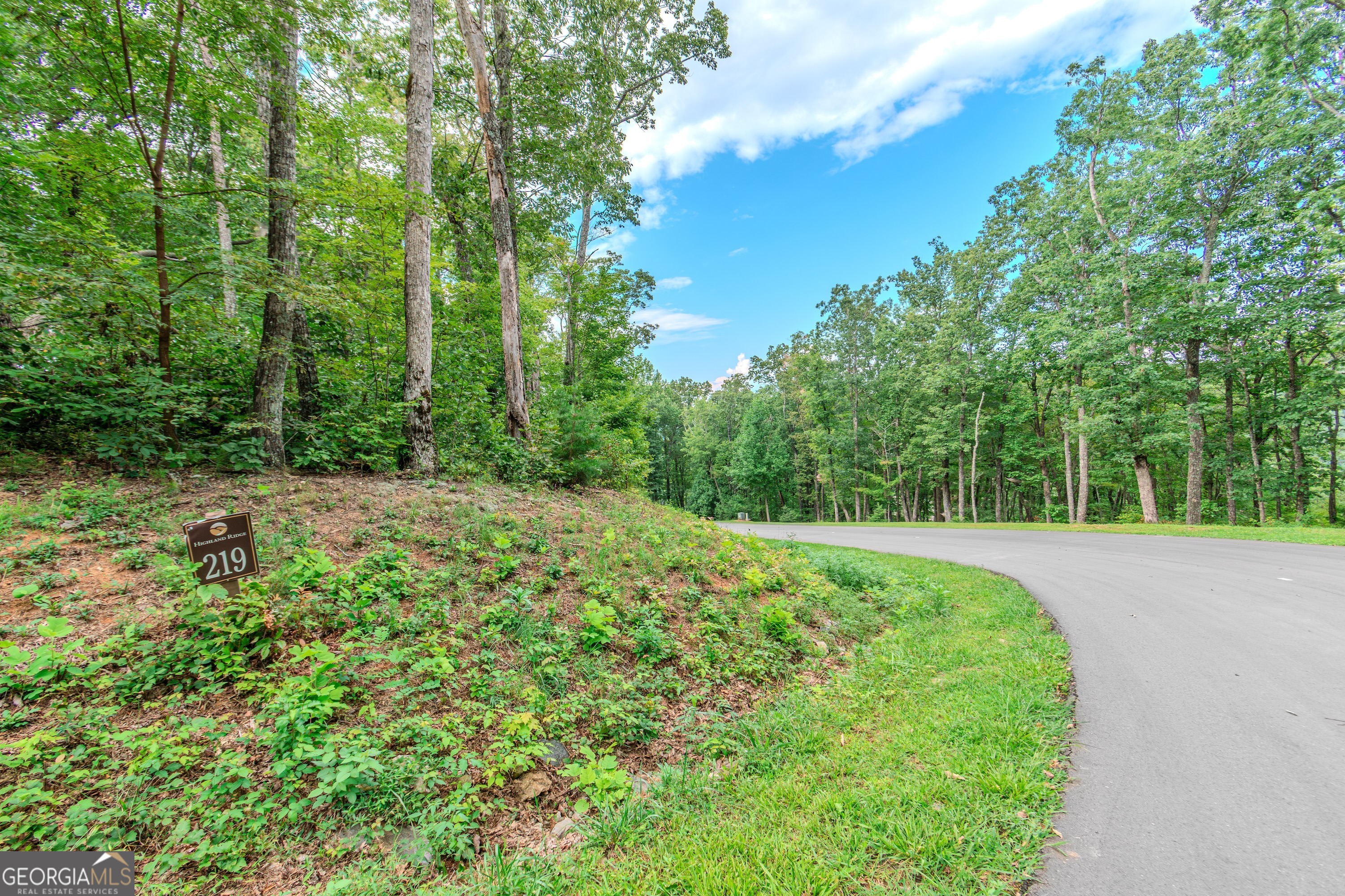 Lot 219 Stone Cliff Drive Jasper GA 30143