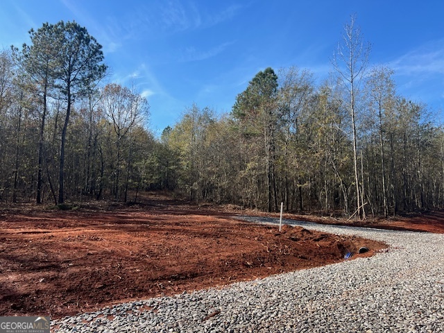 144 Berry Road Barnesville GA 30204