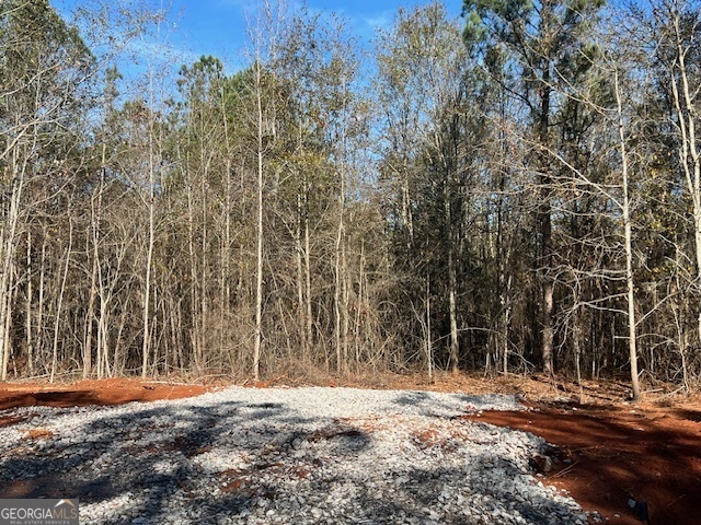 144 Berry Road Barnesville GA 30204