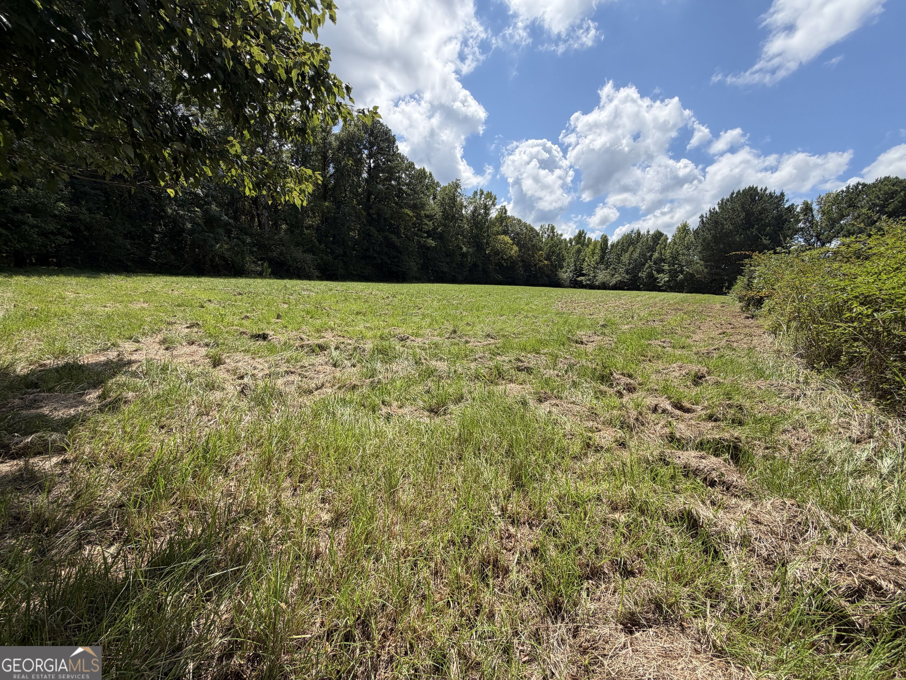 7.65 Acres Baker Road Shiloh GA 31826
