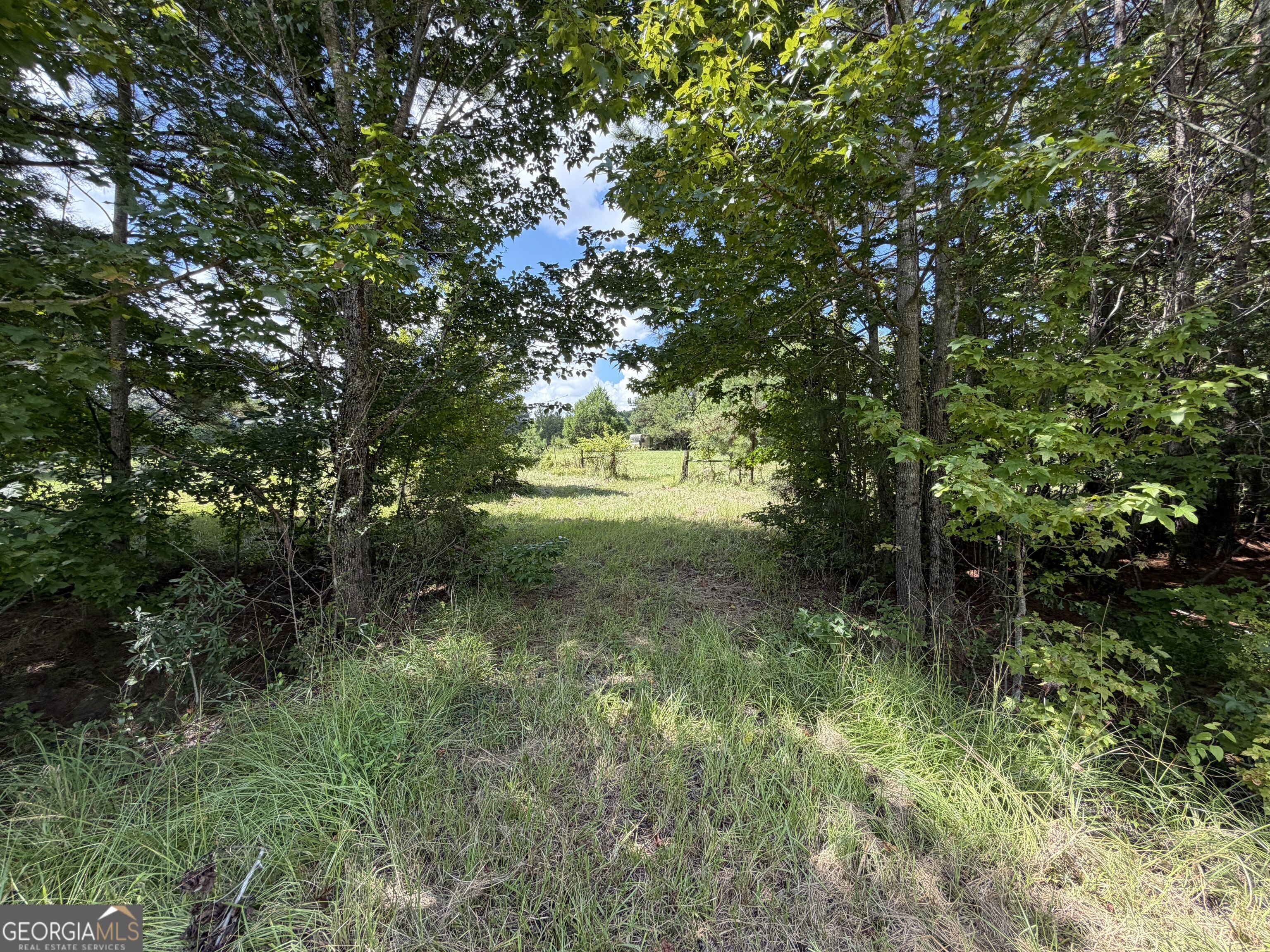 7.65 Acres Baker Road Shiloh GA 31826