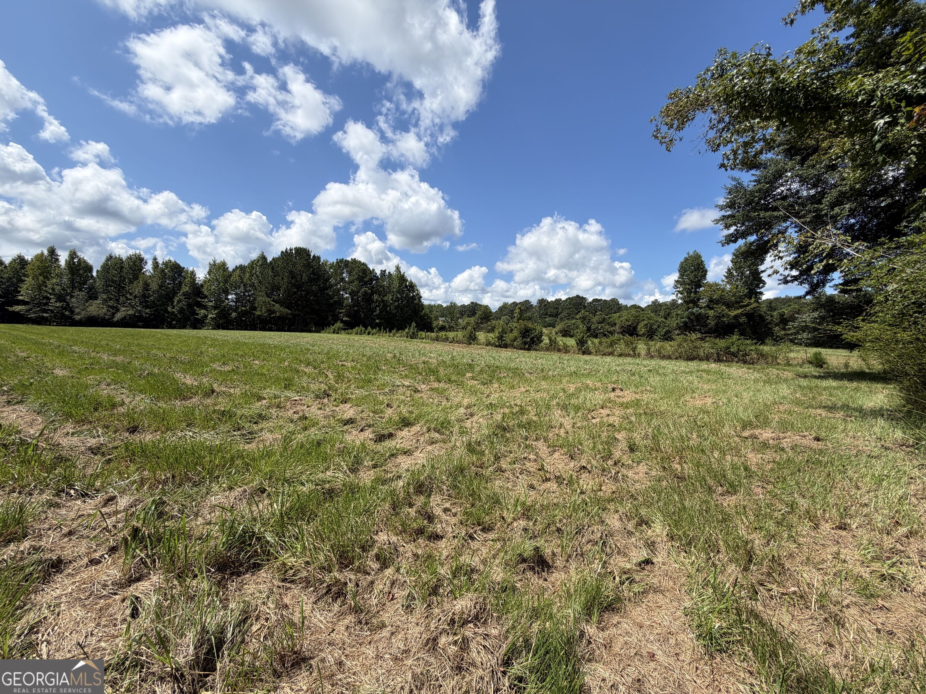 7.65 Acres Baker Road Shiloh GA 31826