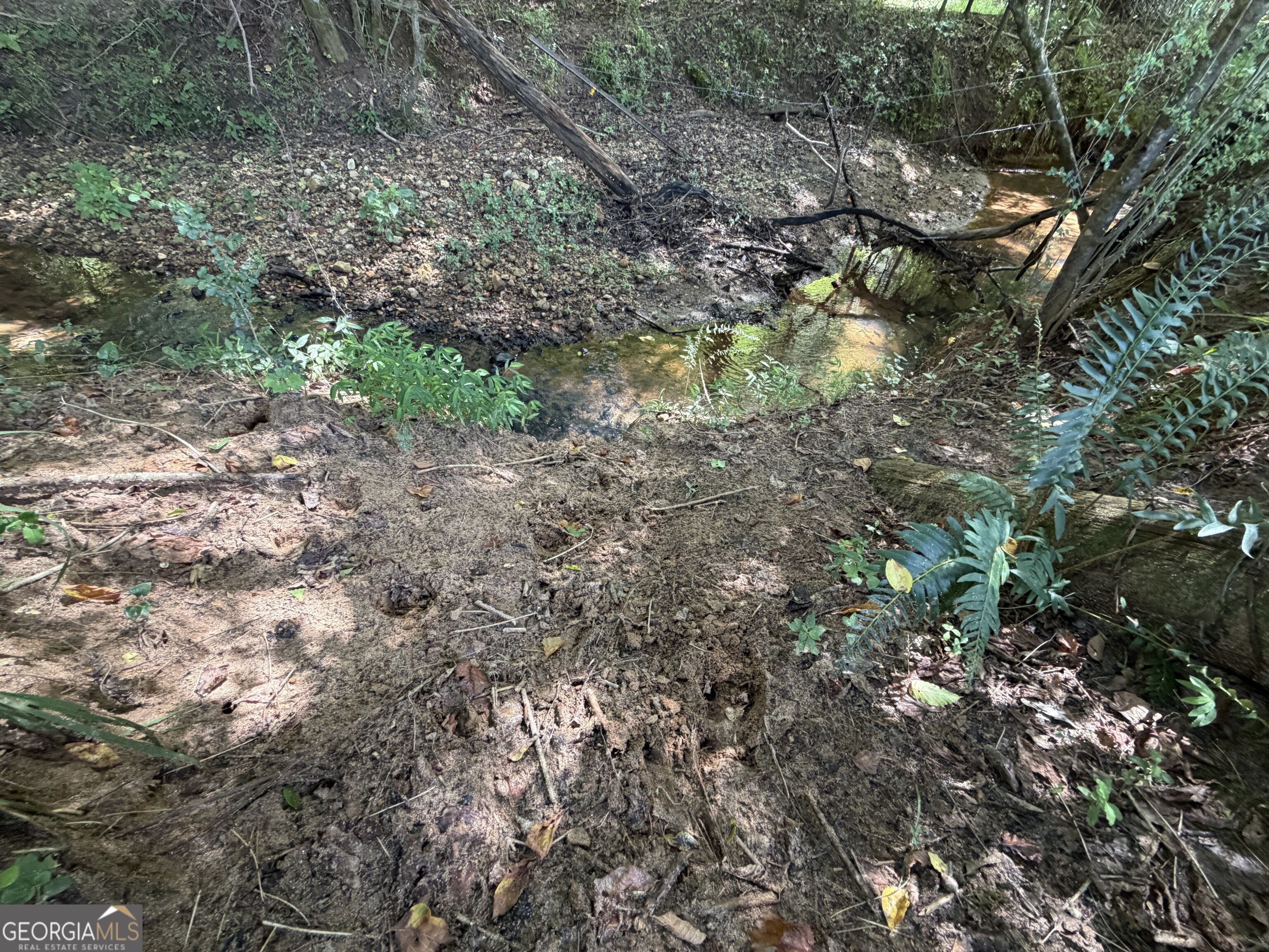 7.65 Acres Baker Road Shiloh GA 31826