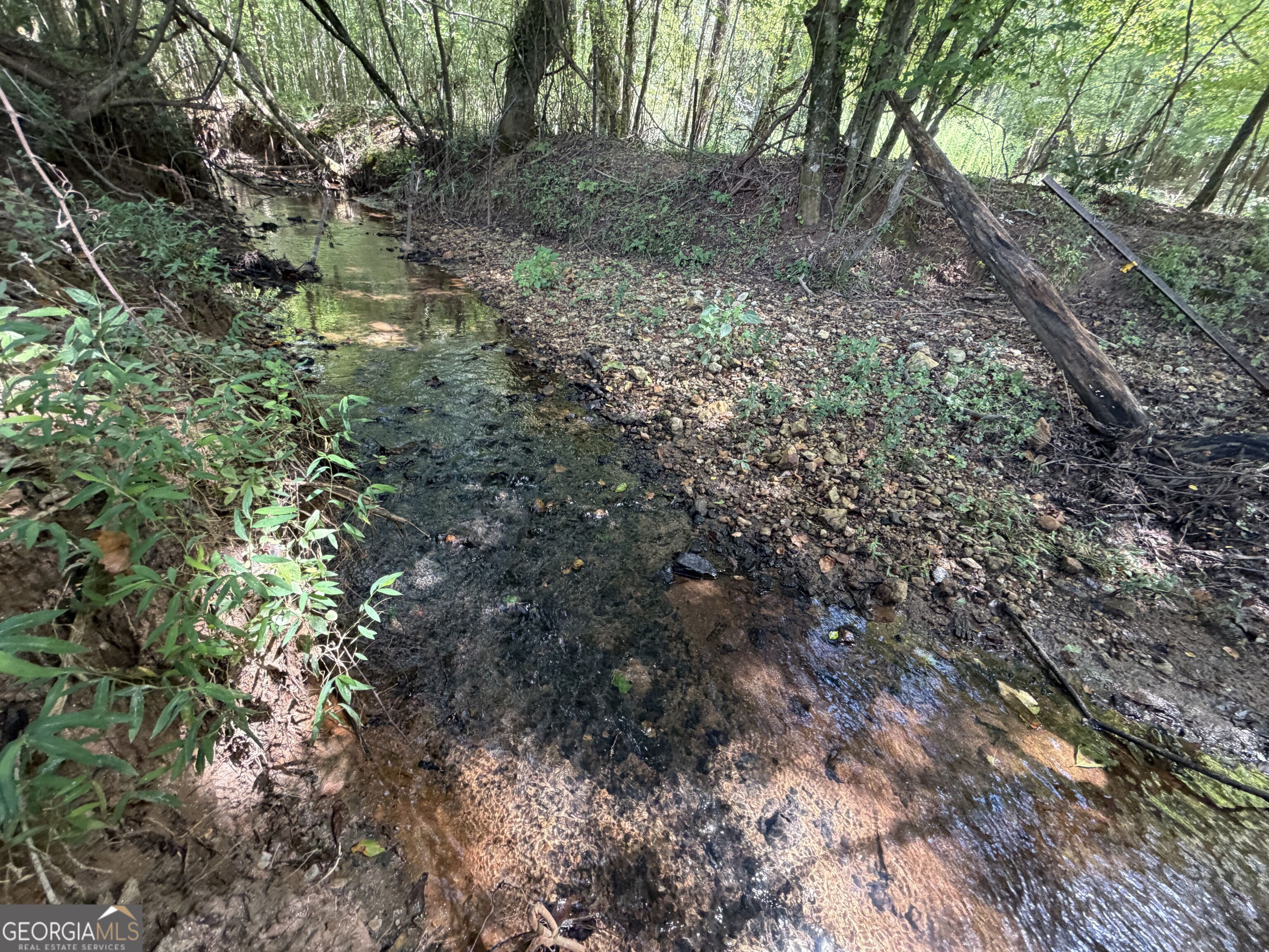 7.65 Acres Baker Road Shiloh GA 31826