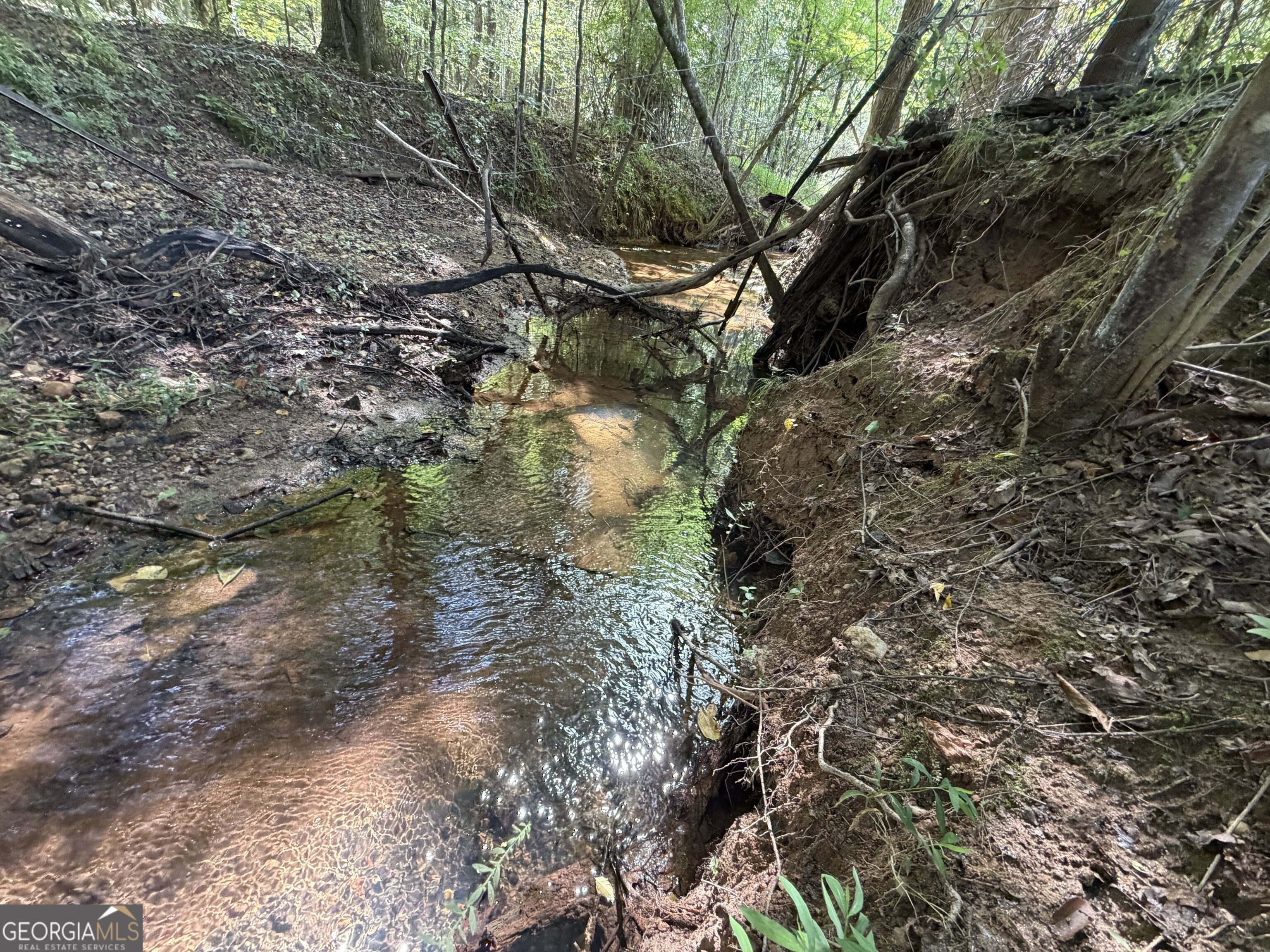 7.65 Acres Baker Road Shiloh GA 31826