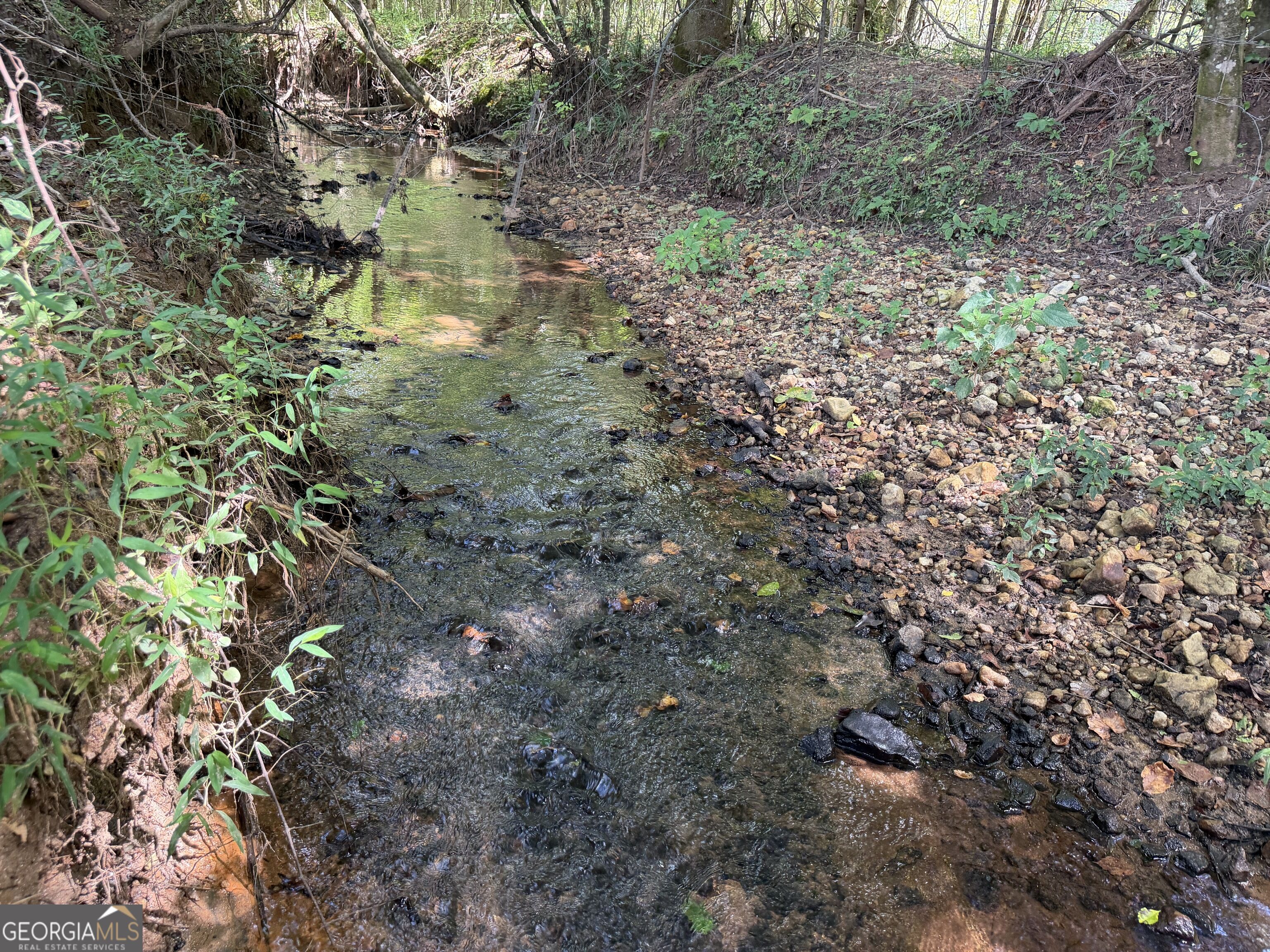 7.65 Acres Baker Road Shiloh GA 31826