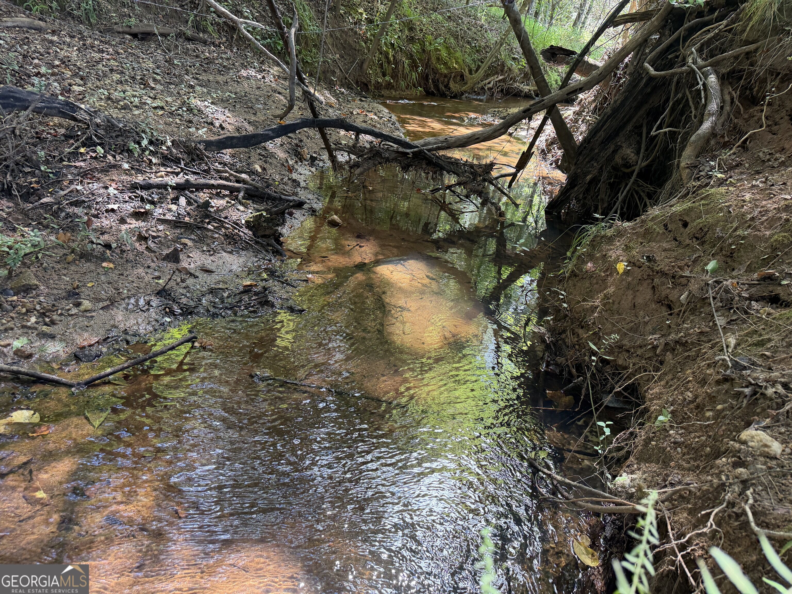 7.65 Acres Baker Road Shiloh GA 31826