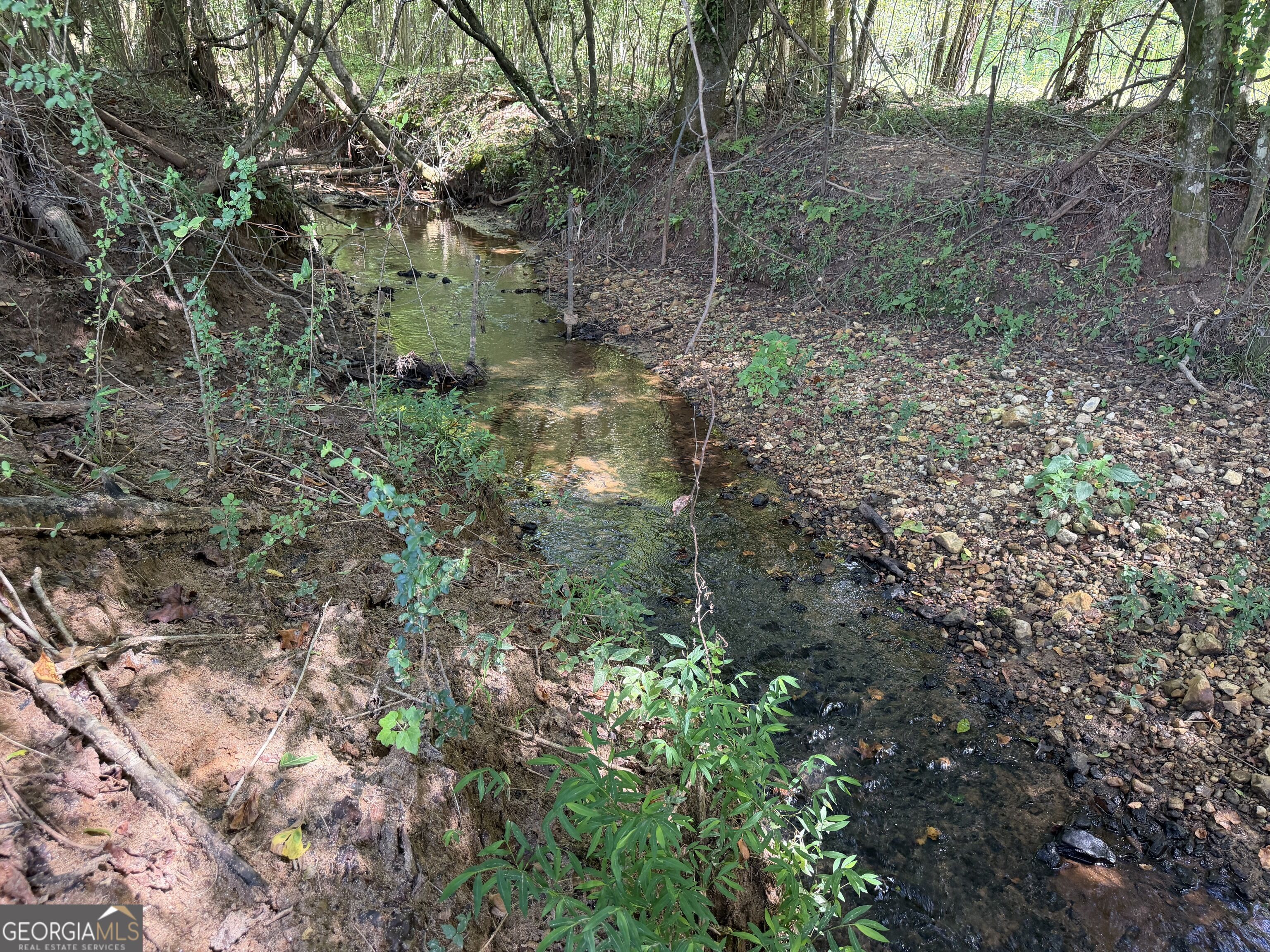 7.65 Acres Baker Road Shiloh GA 31826