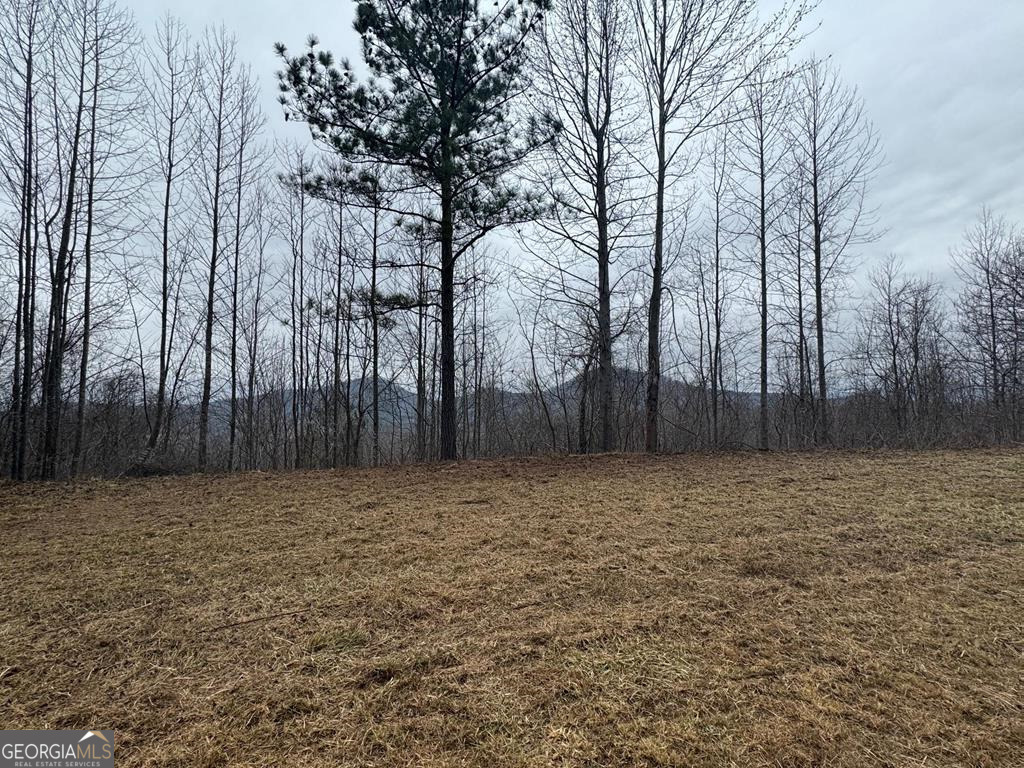 Lot 10 Chatuge Manor Drive Young Harris GA 30582